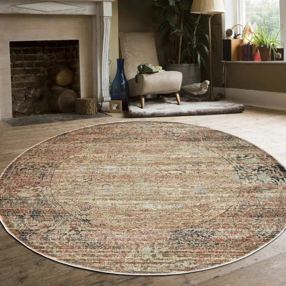 Admire Home Living Serina Vintage Area Rug