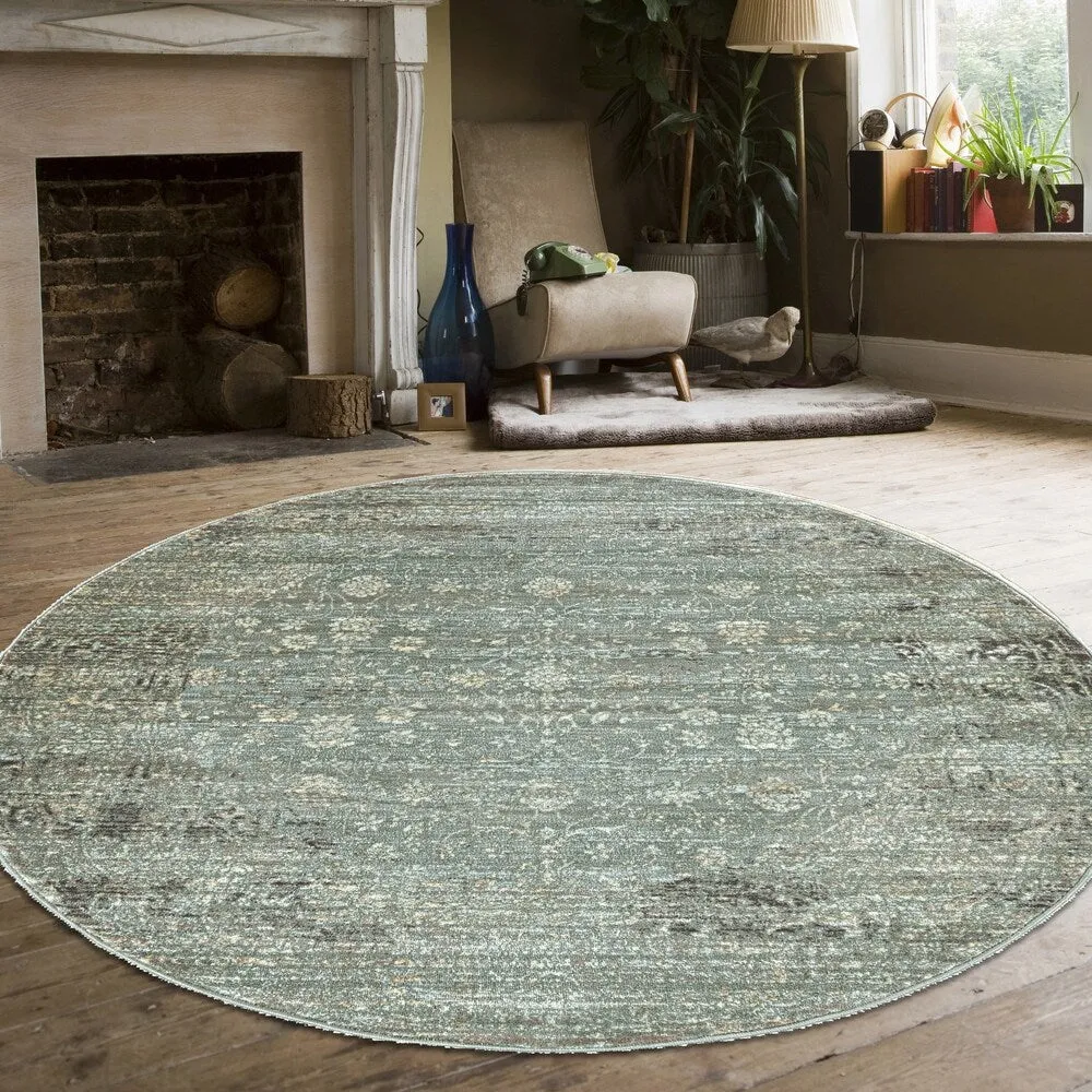 Admire Home Living Serina Vintage Area Rug