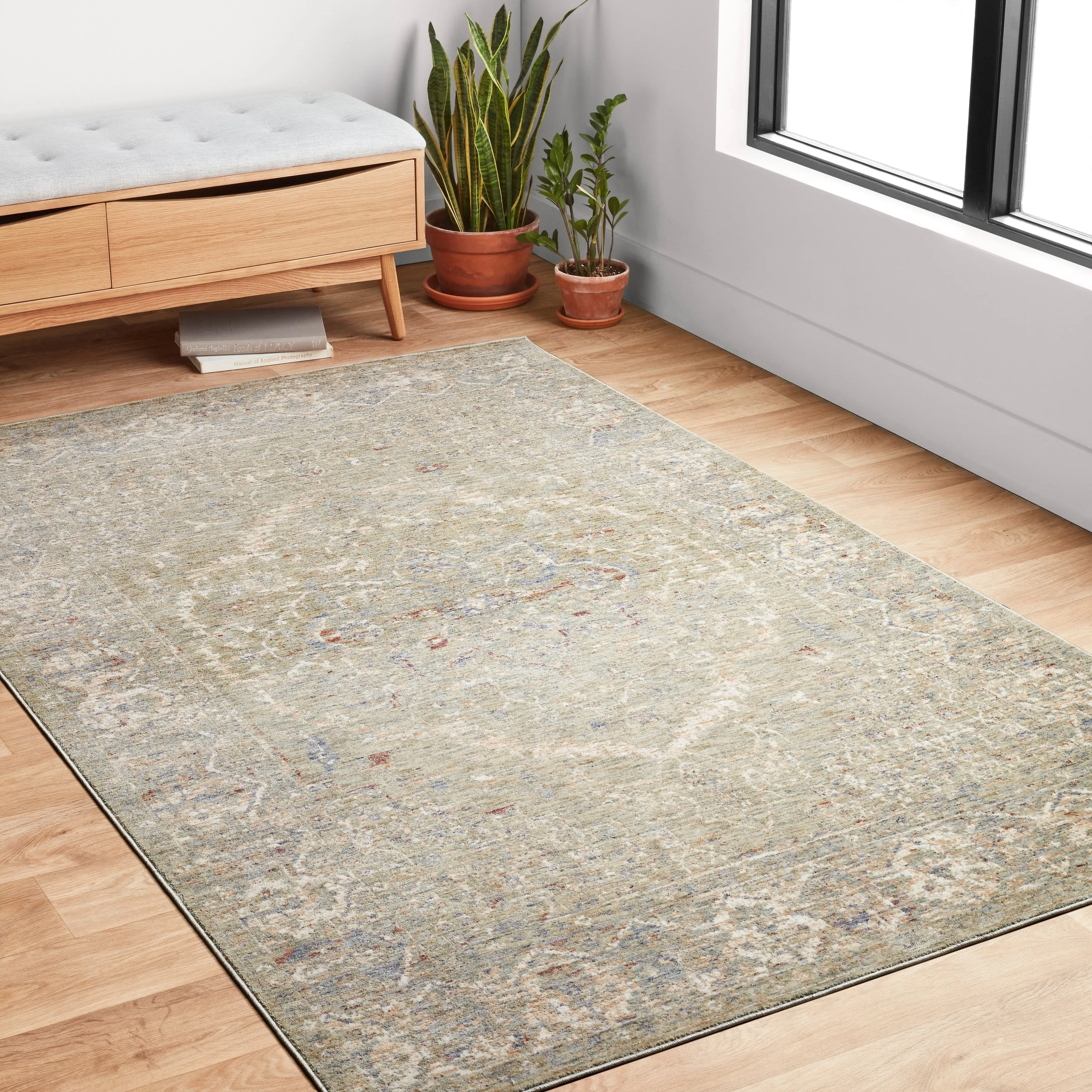Alexander Home Austen Antique Washed Traditional Inspired Area Rug