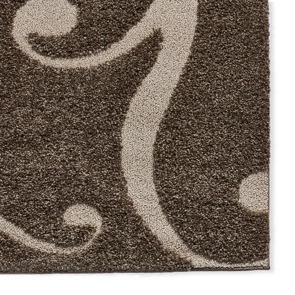 Alexander Home Julian Transitional Scroll Shag Area Rug