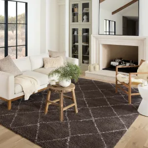Alexander Home Kazi Modern Trellis Shag Area Rug