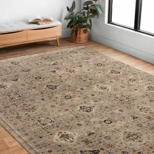 Alexander Home Reese Persian Transitional Area Rug
