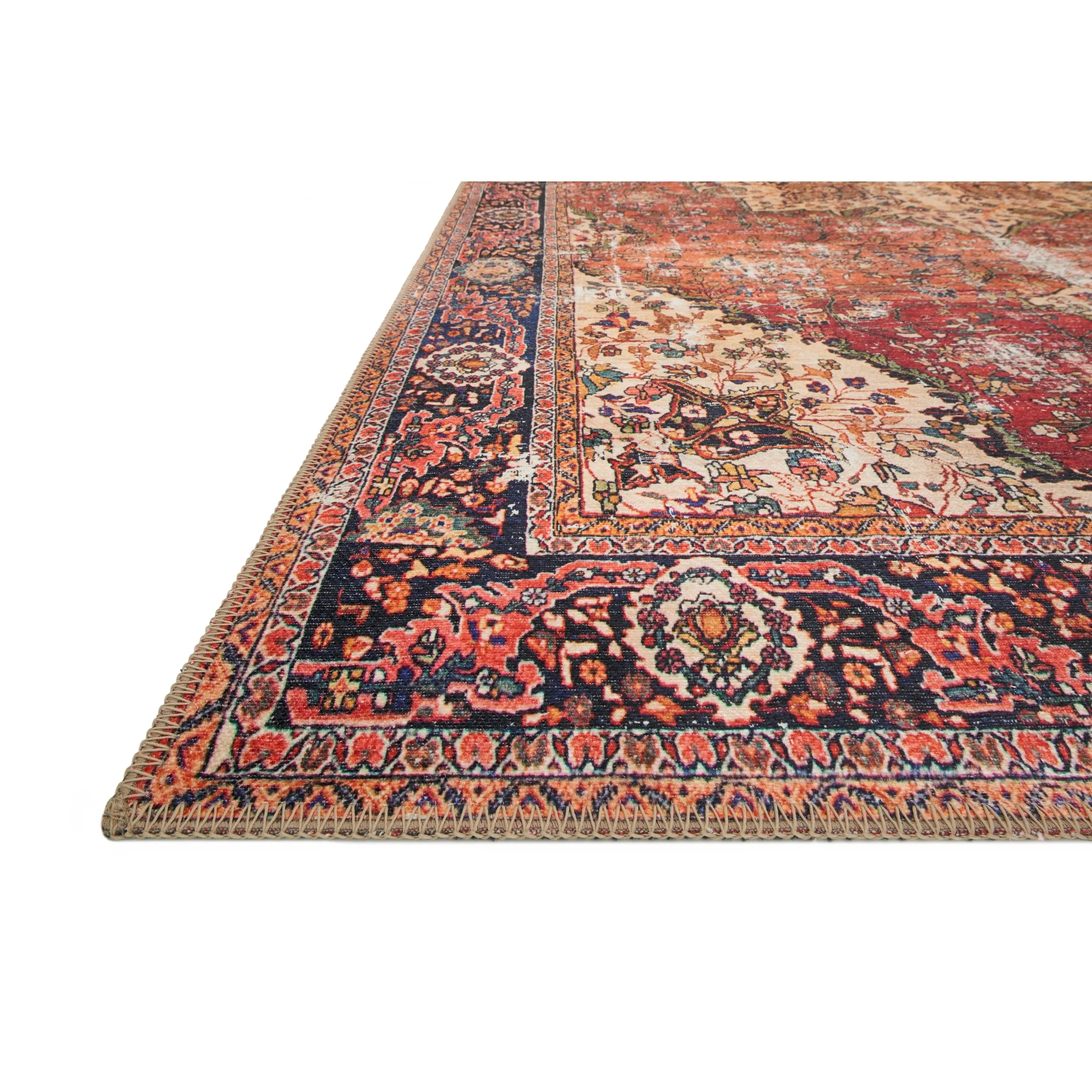 Alexander Home Tremezzina Printed Distressed Medallion Area Rug