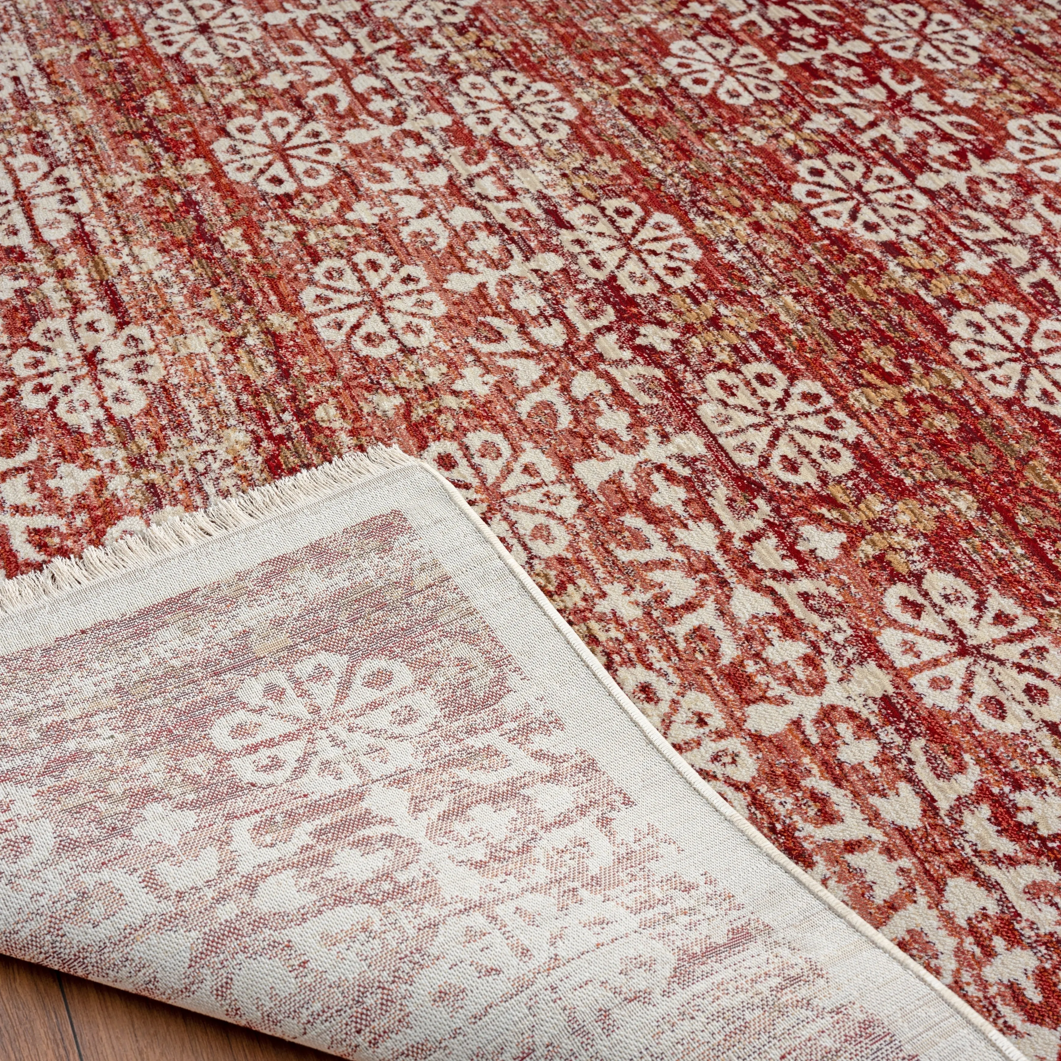 Aurora Transitional Bordered Performance Area Rug