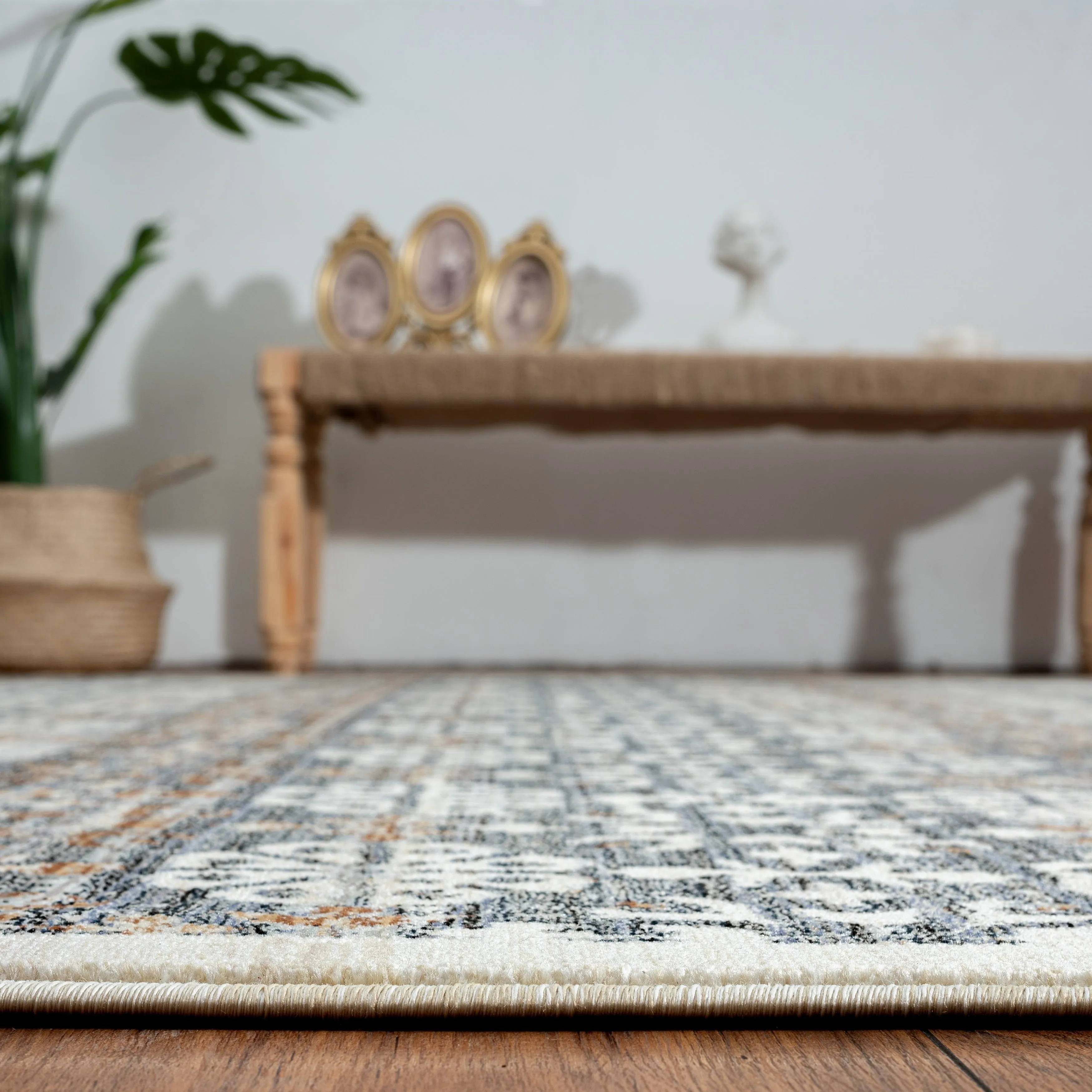 Aurora Transitional Bordered Performance Area Rug