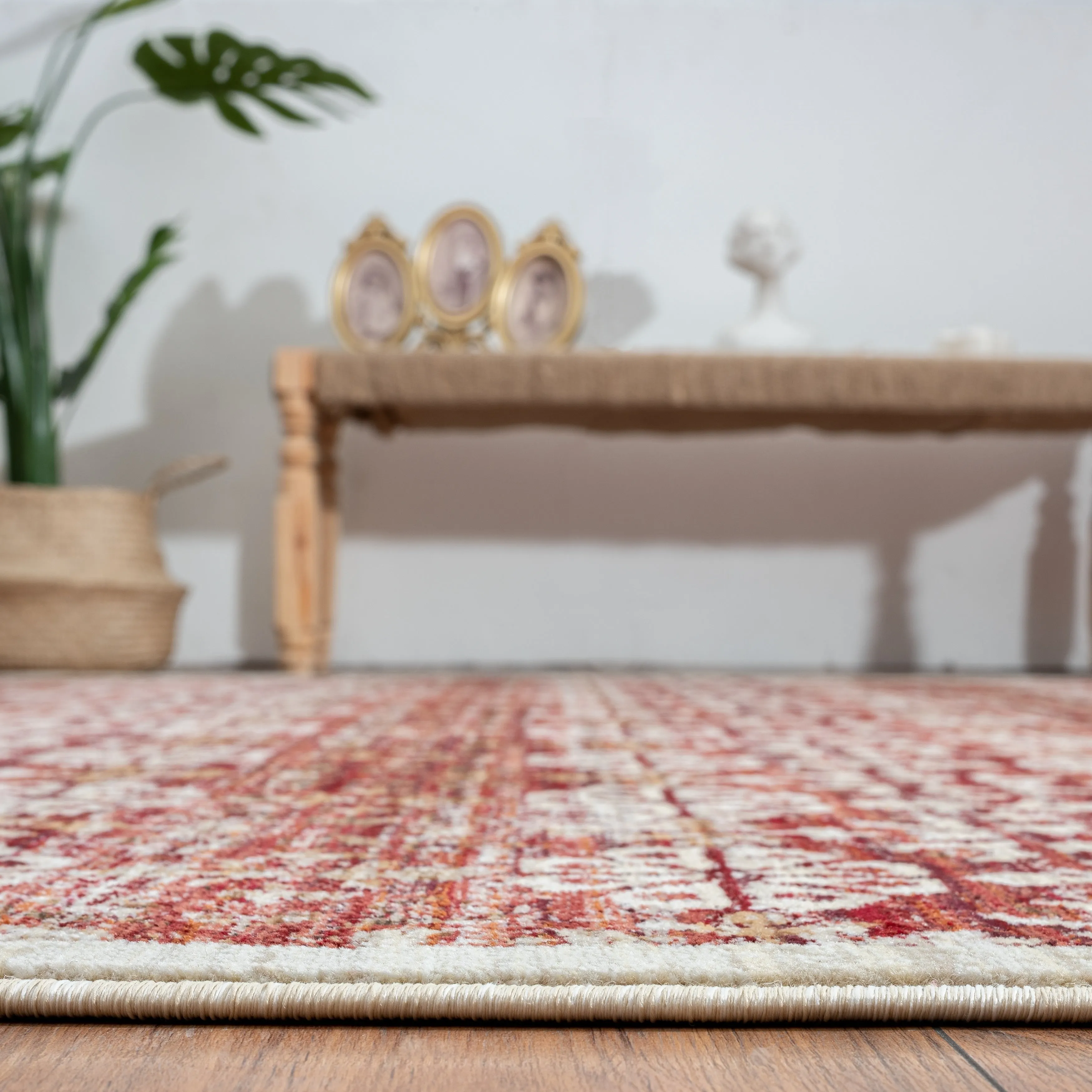Aurora Transitional Bordered Performance Area Rug
