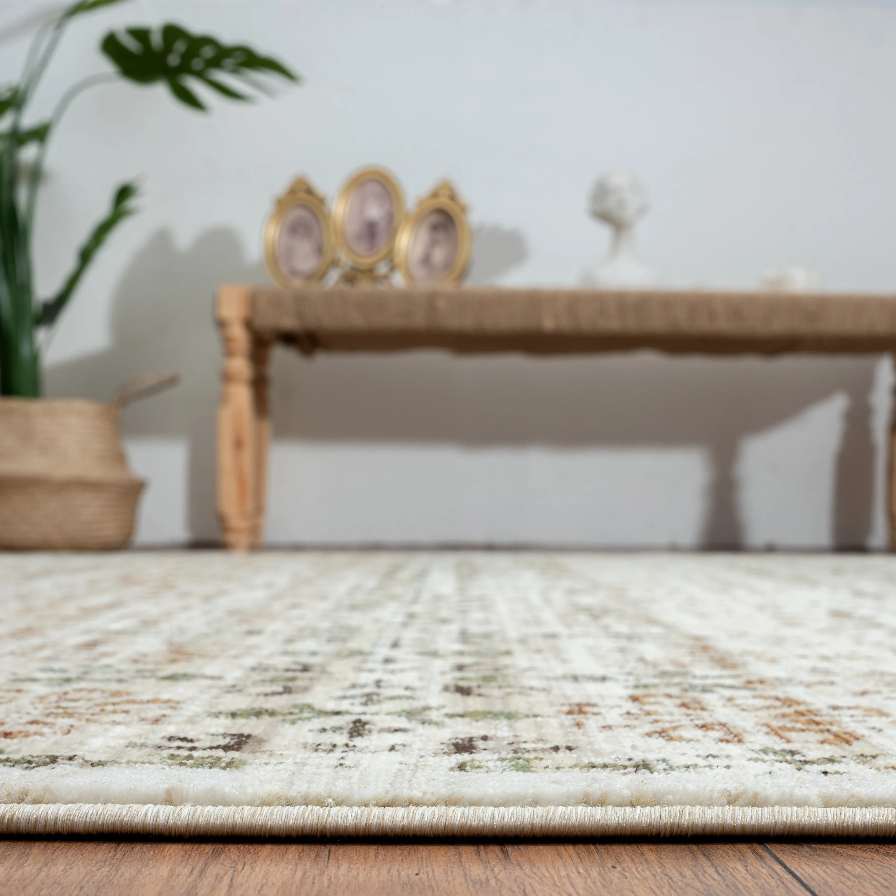 Aurora Transitional Bordered Performance Area Rug