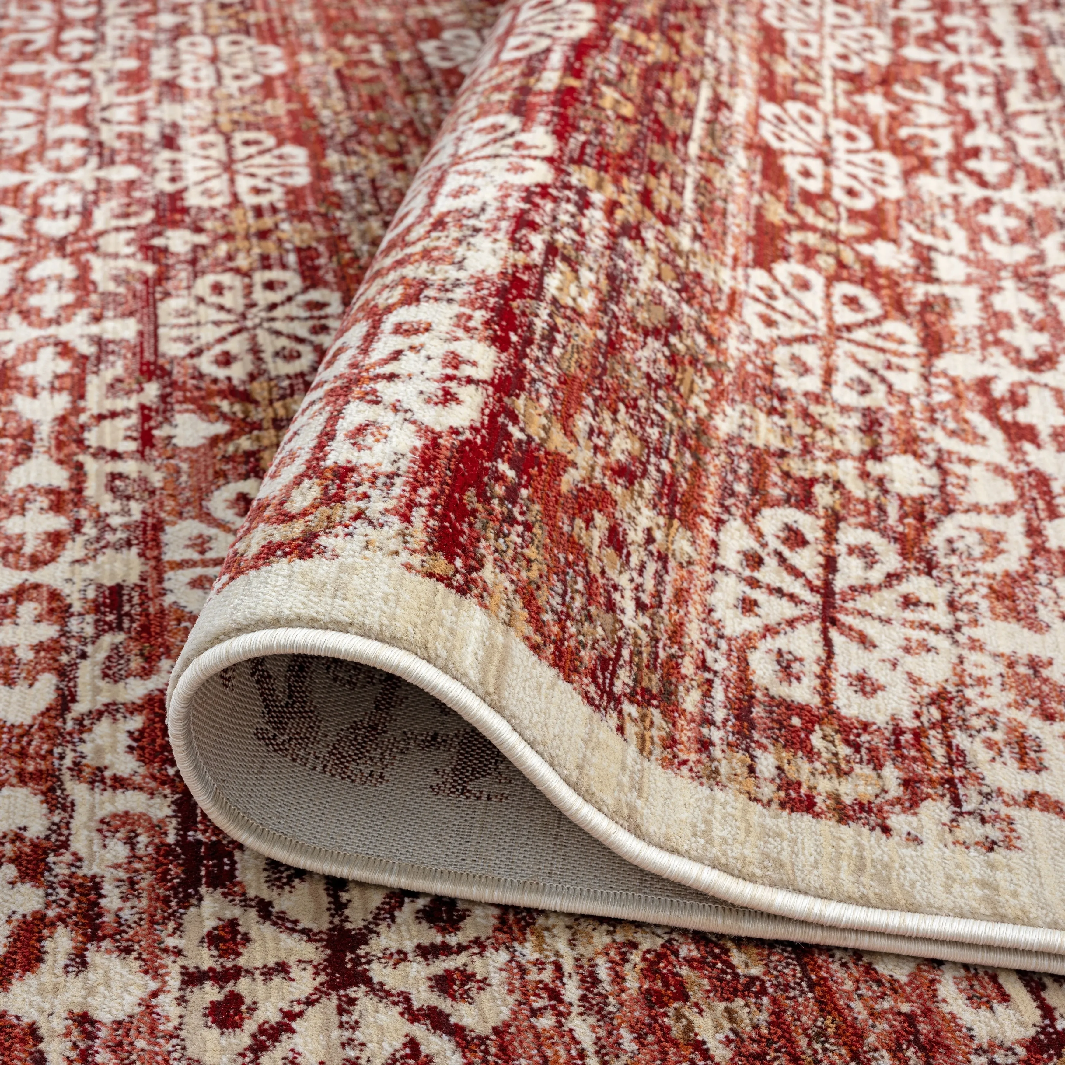 Aurora Transitional Bordered Performance Area Rug