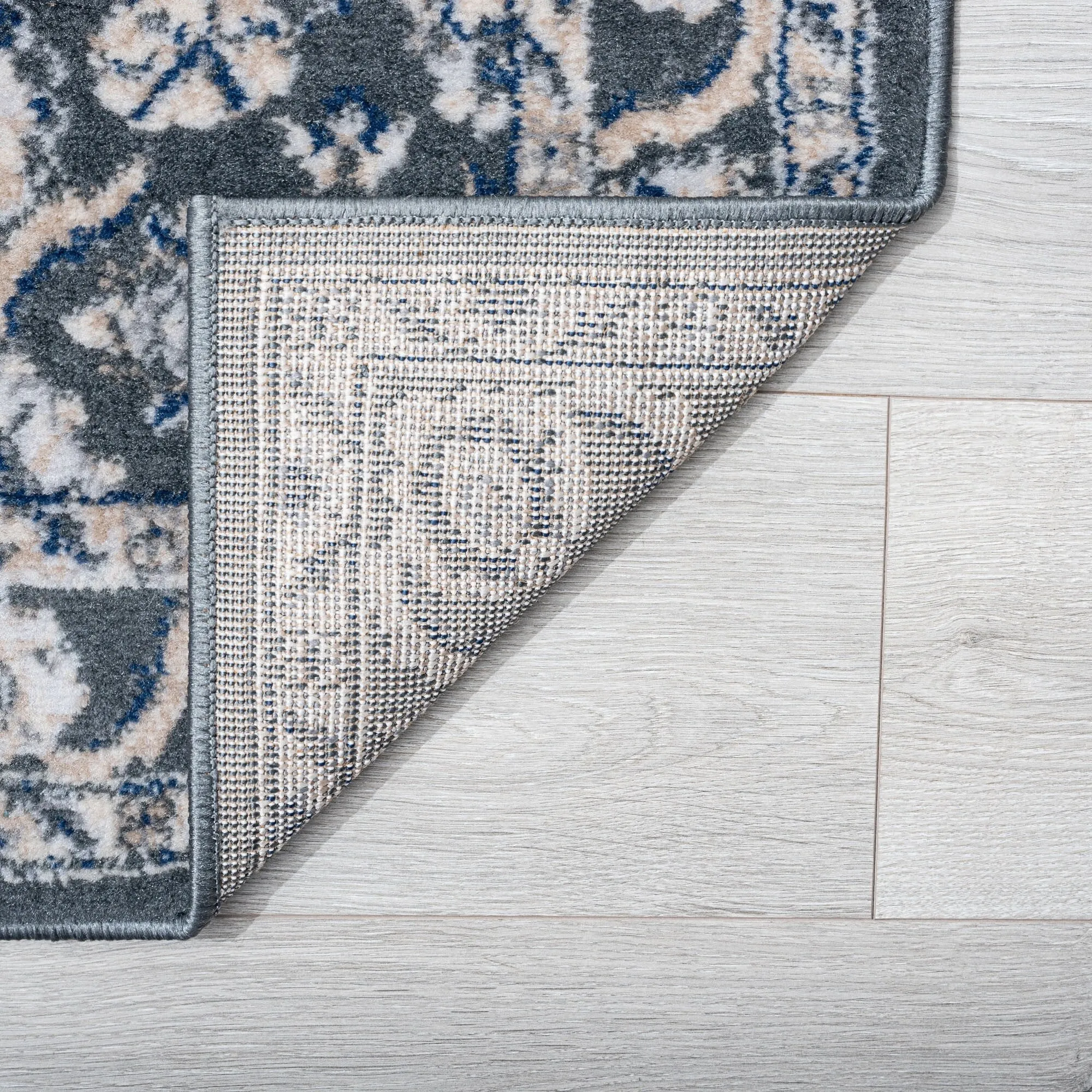 Carrington Traditional Border Indoor Area Rug