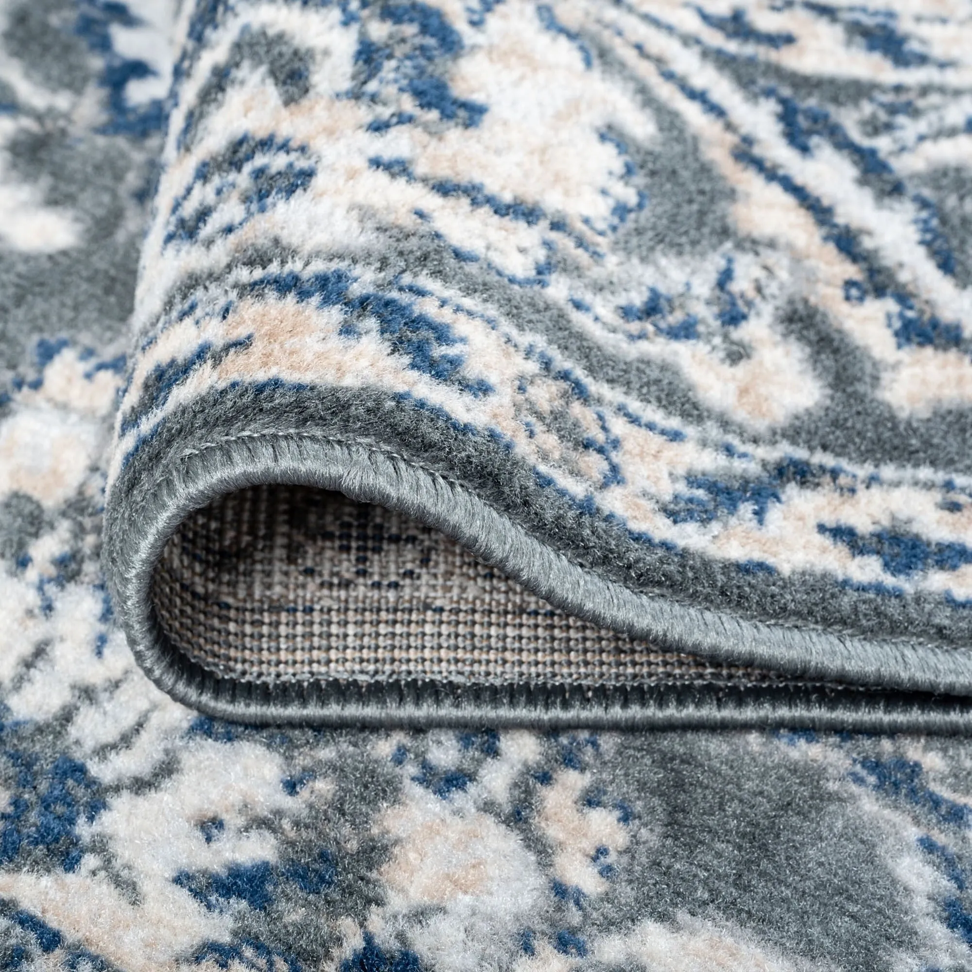 Carrington Traditional Border Indoor Area Rug