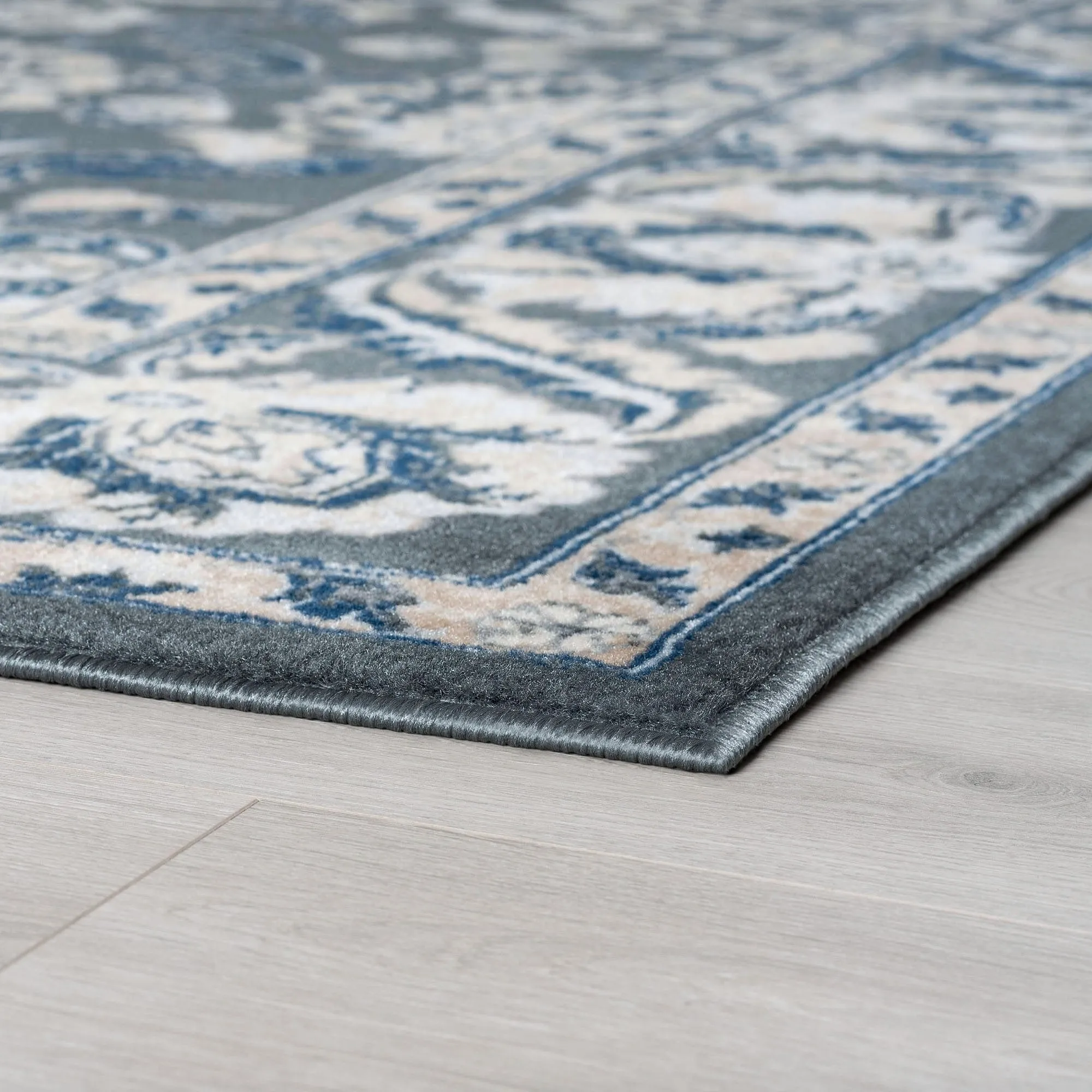 Carrington Traditional Border Indoor Area Rug