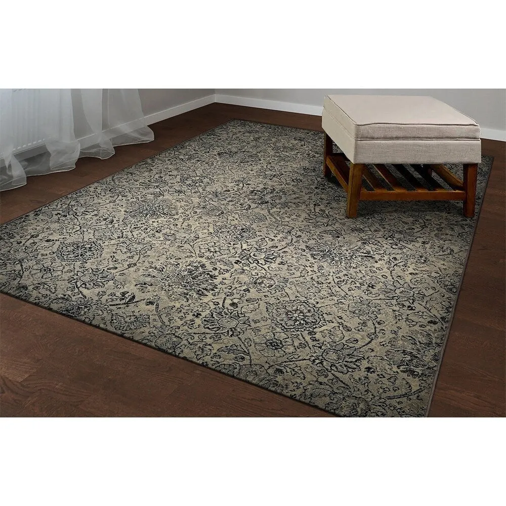 Dream Decor Rugs Provencal Wynn Floral Area Rug