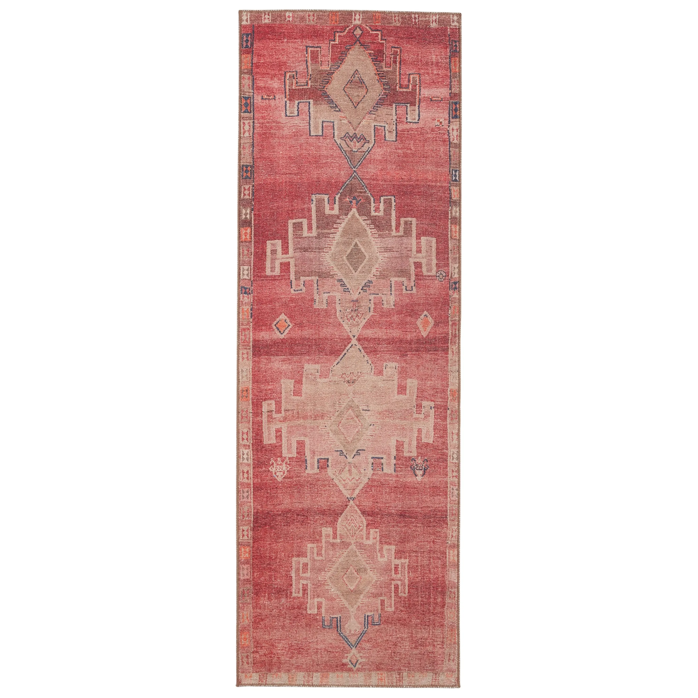 Evadne Machine Washable Medallion Pink/ Blue Area Rug