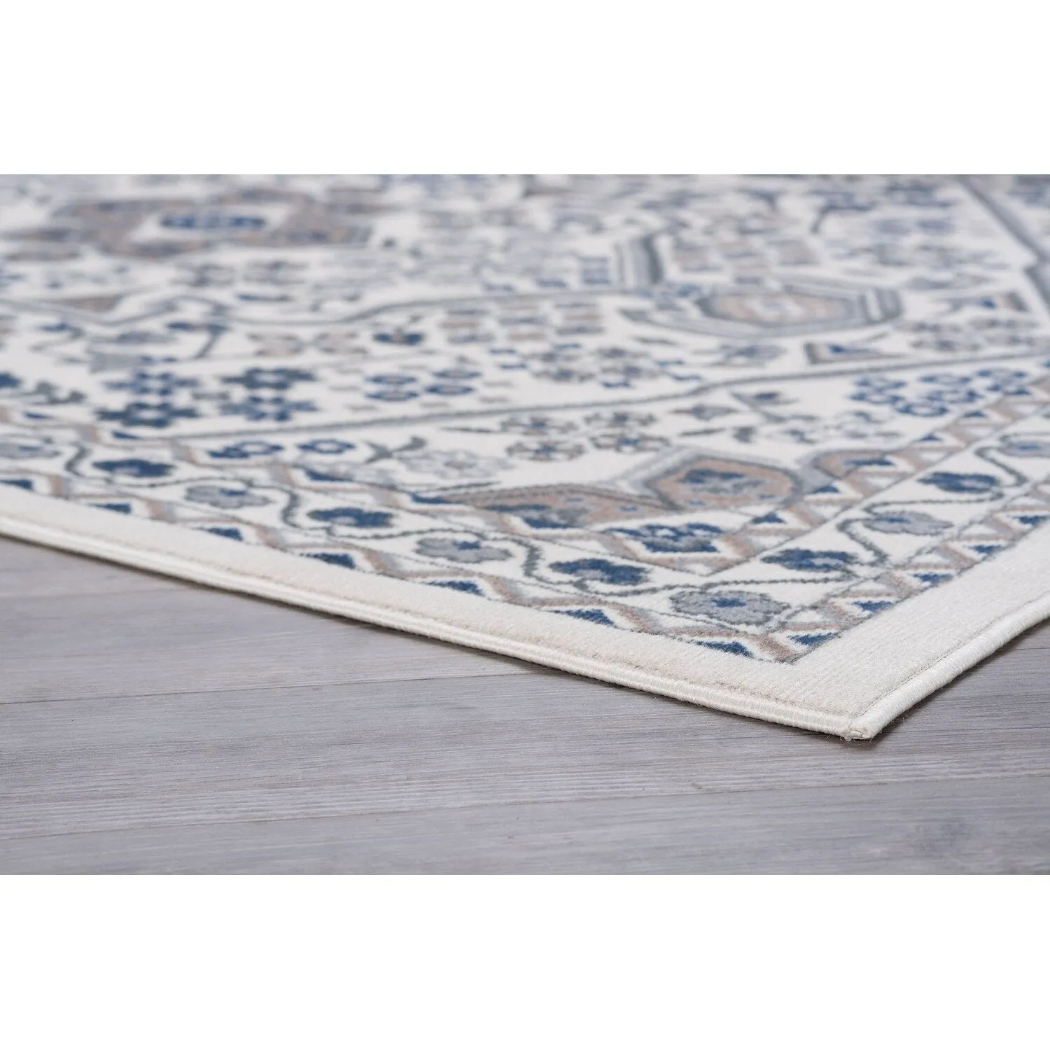 Hamilton Traditional Oriental Indoor Area Rug
