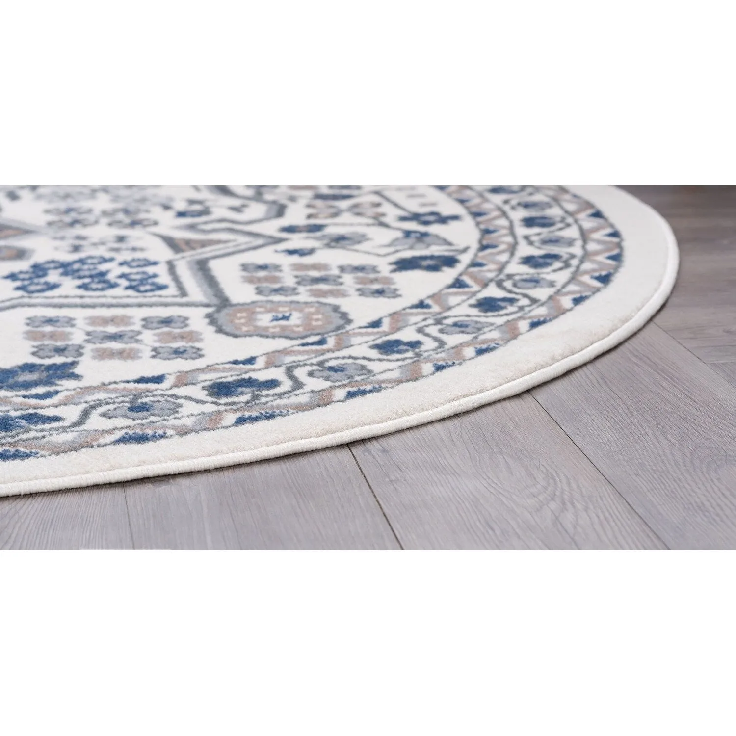 Hamilton Traditional Oriental Indoor Area Rug