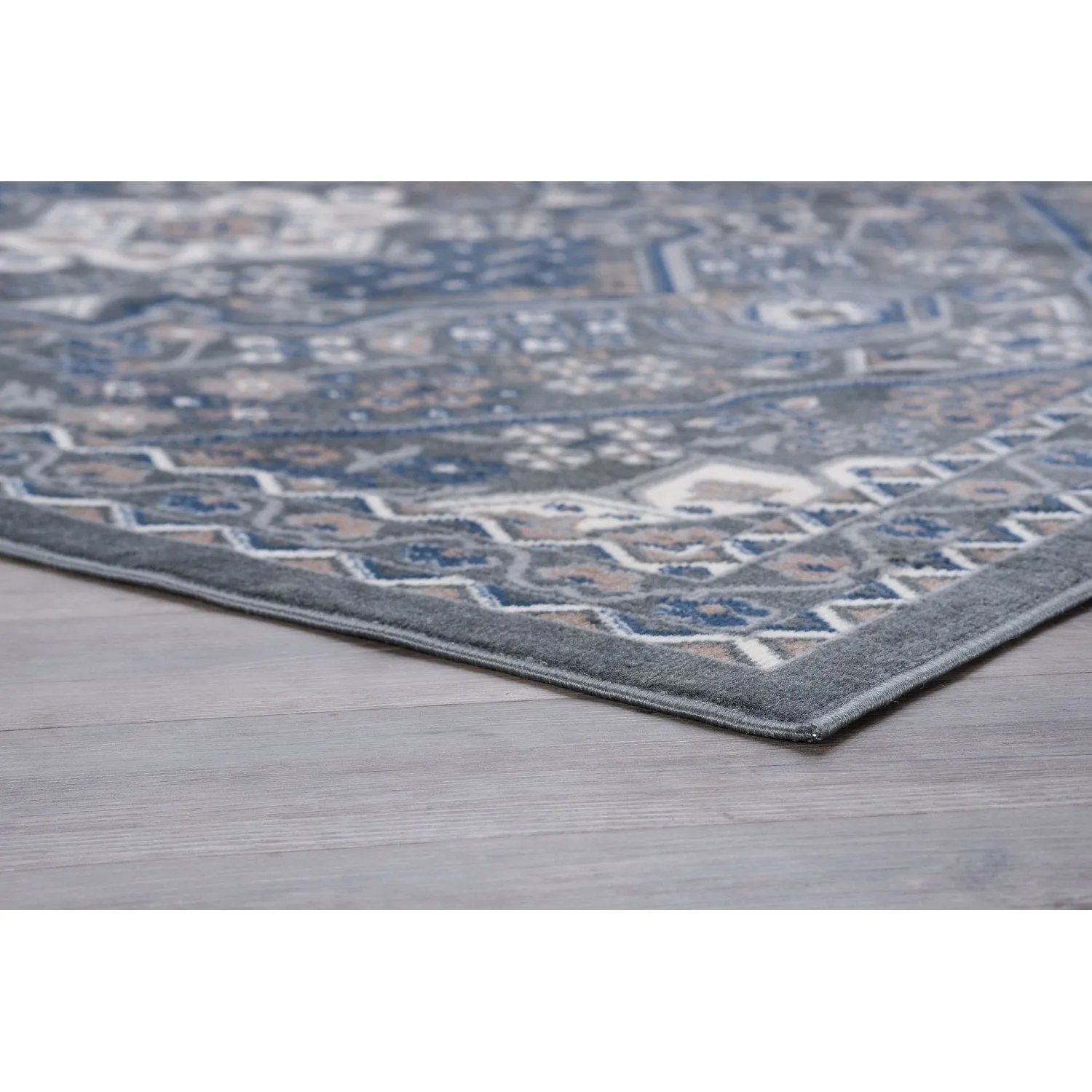 Hamilton Traditional Oriental Indoor Area Rug