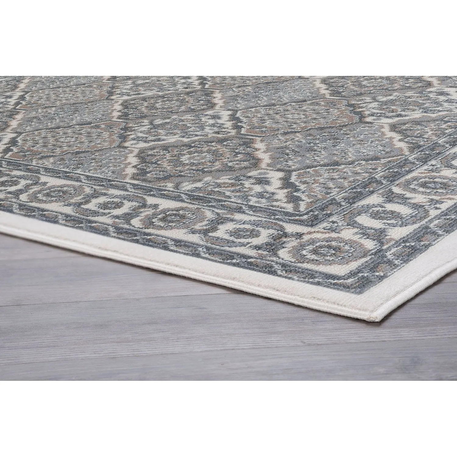 Hamilton Traditional Oriental Indoor Area Rug
