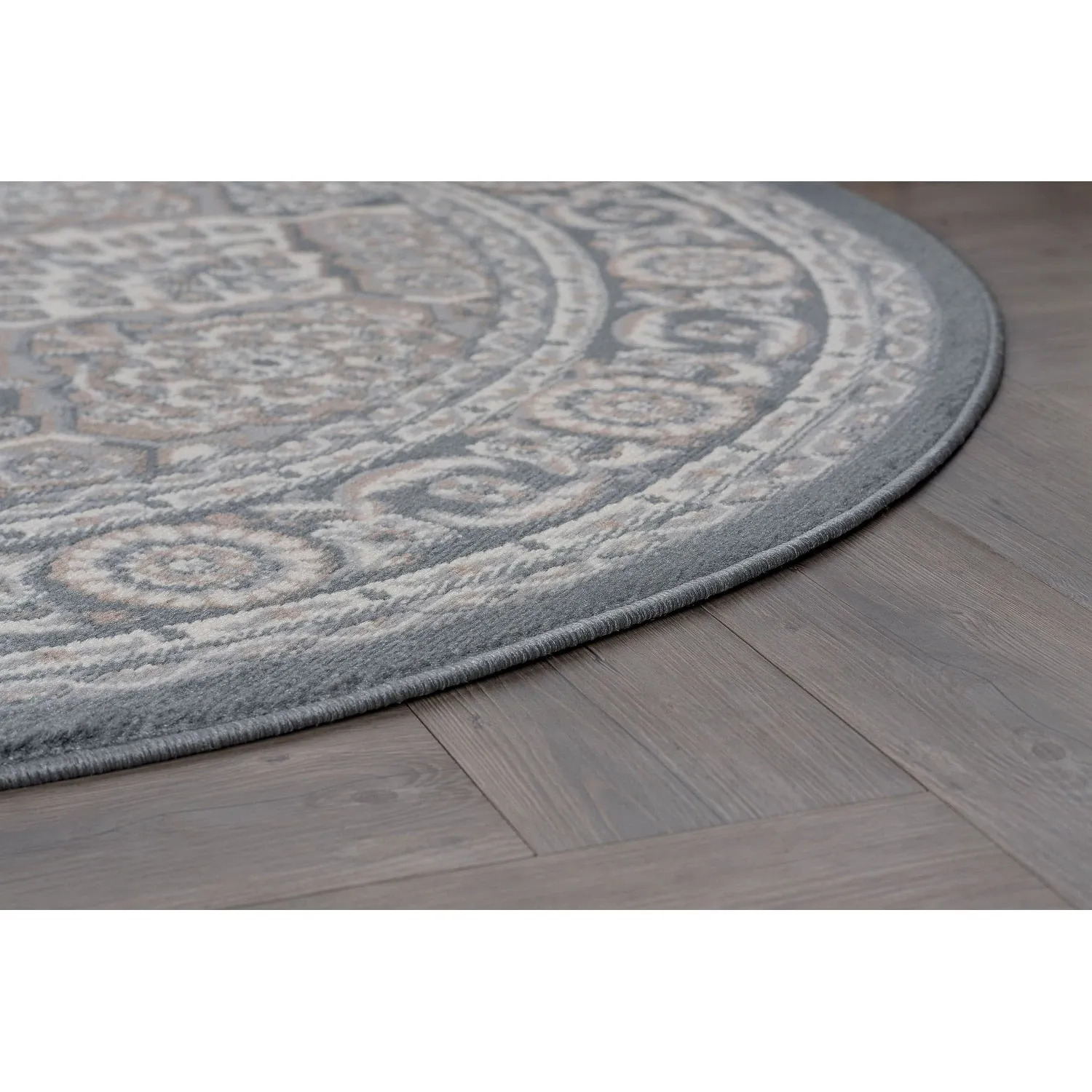 Hamilton Traditional Oriental Indoor Area Rug
