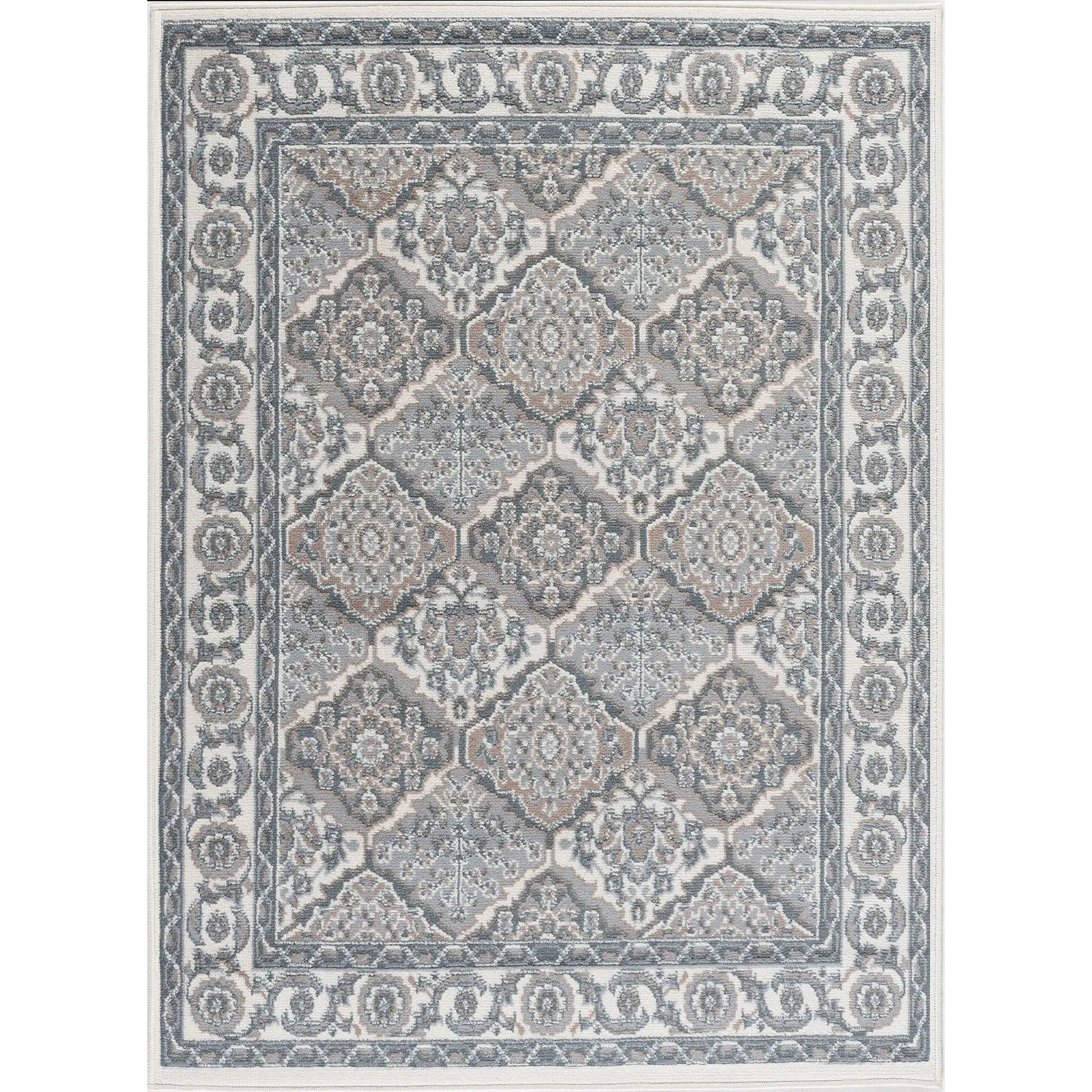 Hamilton Traditional Oriental Indoor Area Rug