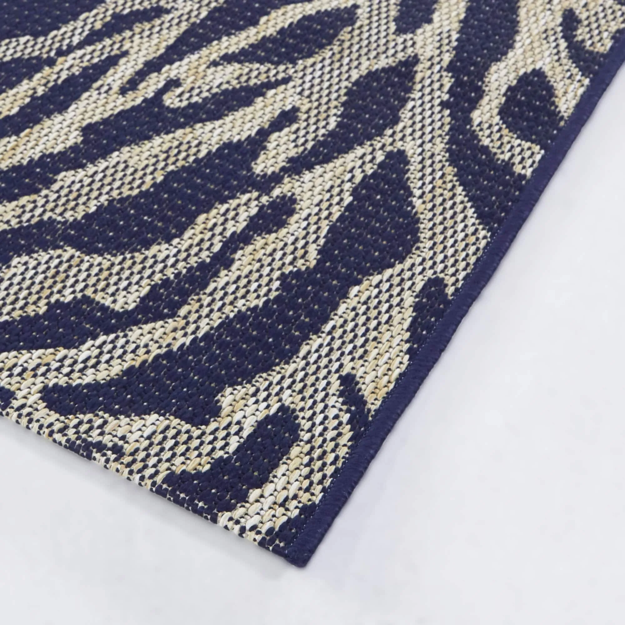 Lilburn Coastal Coral Area Rug