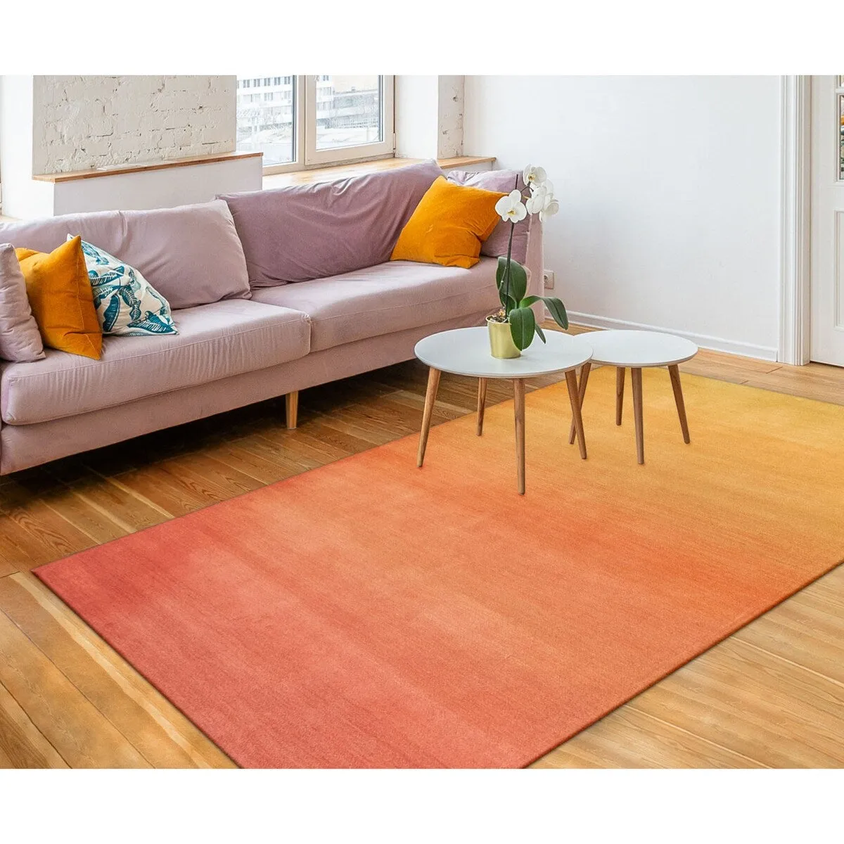 Liora Manne Arca Ombre Indoor Rug