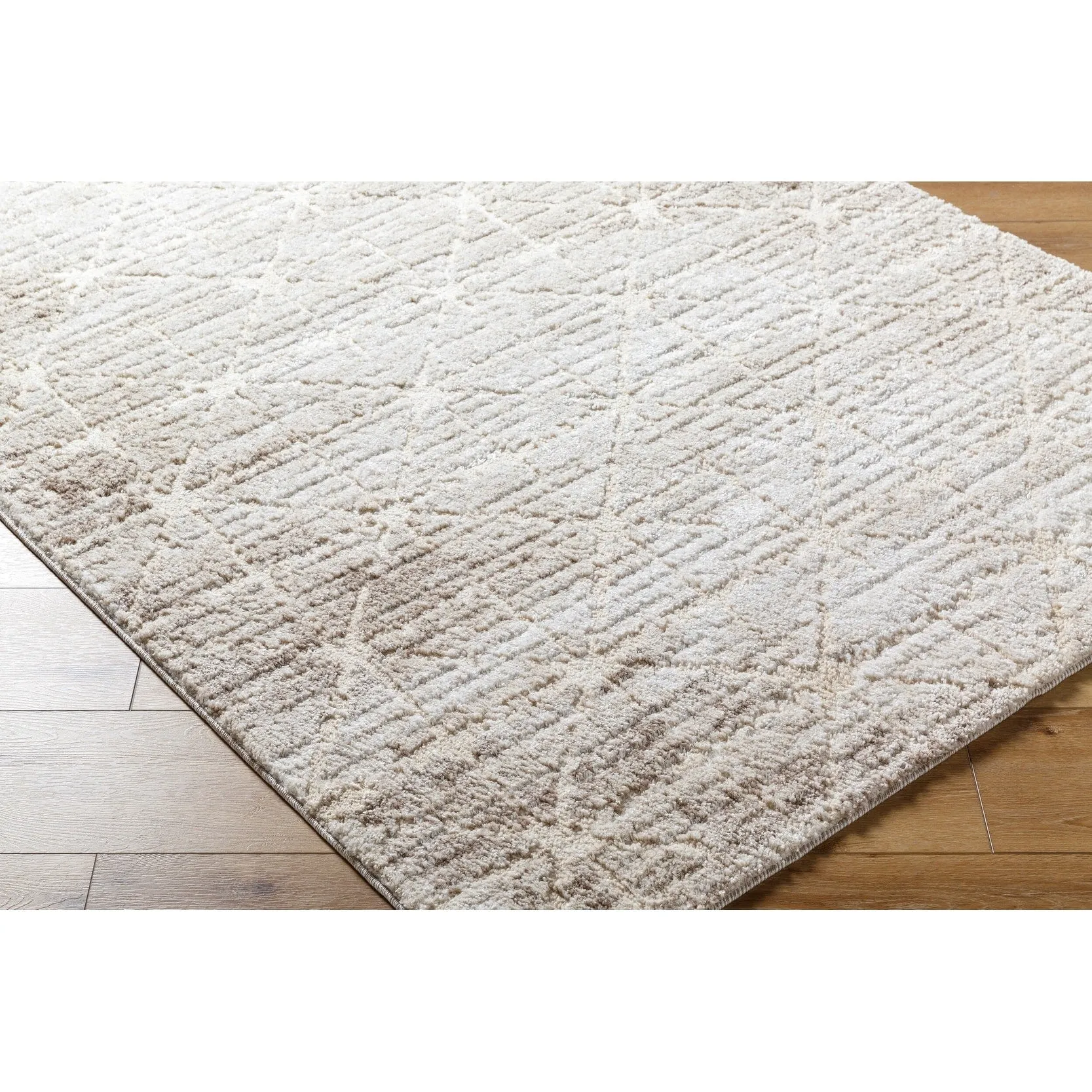 Livabliss Andorra Plus Casual Abstract Area Rug