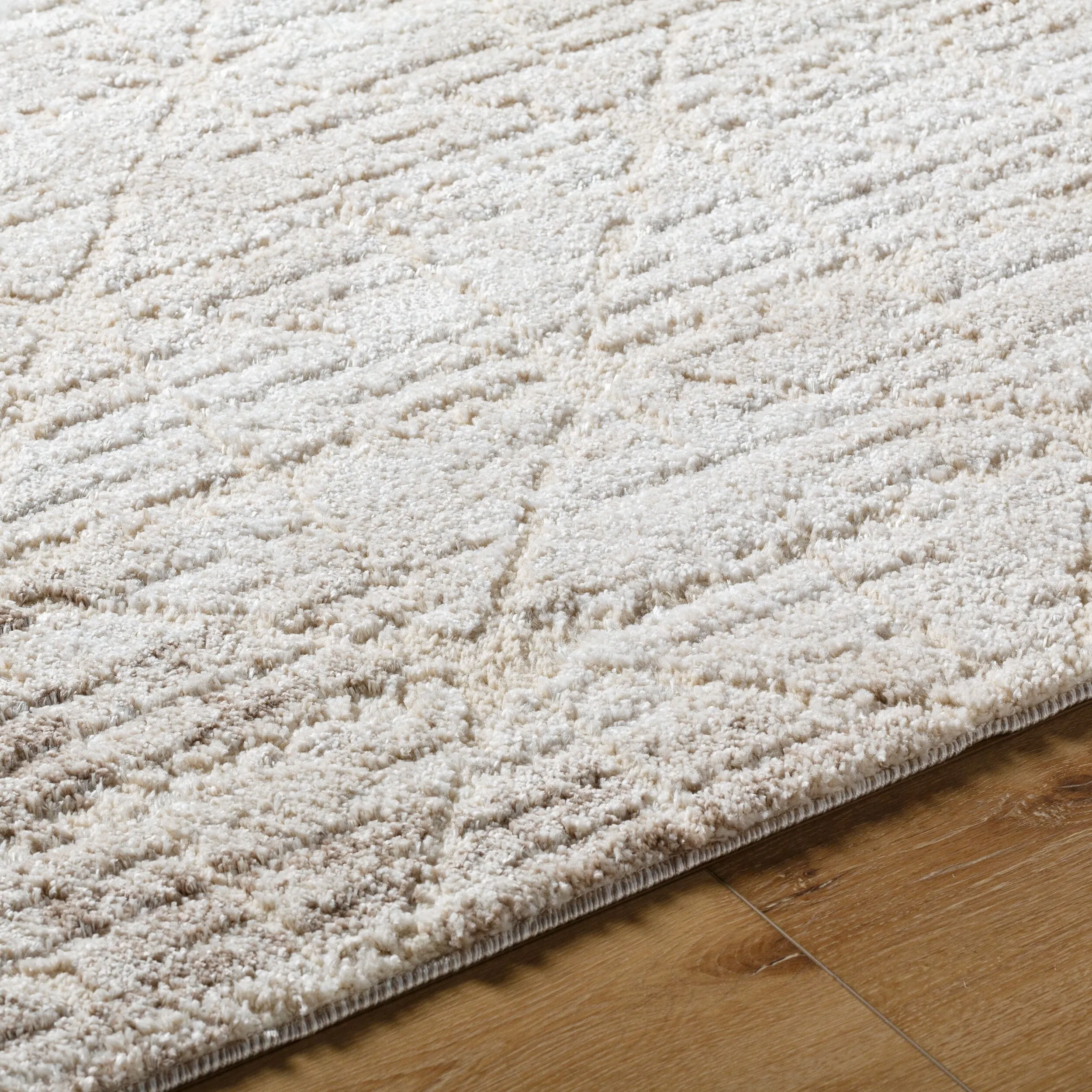Livabliss Andorra Plus Casual Abstract Area Rug