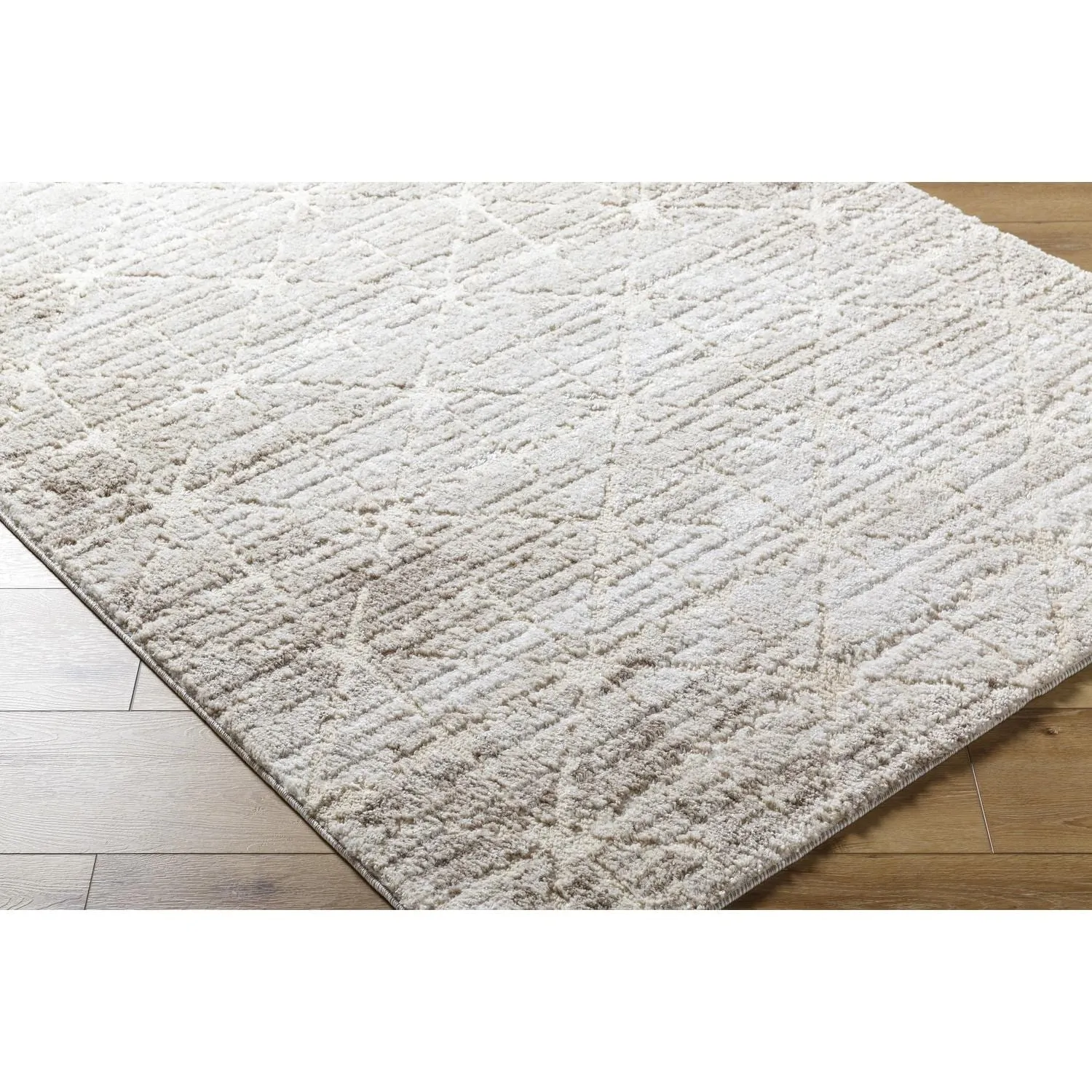 Livabliss Andorra Plus Casual Abstract Area Rug