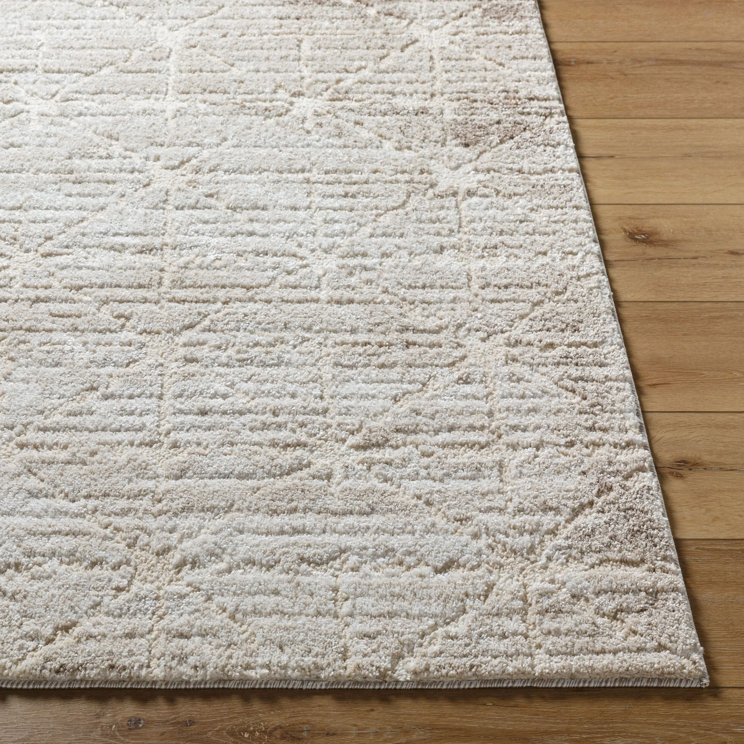 Livabliss Andorra Plus Casual Abstract Area Rug