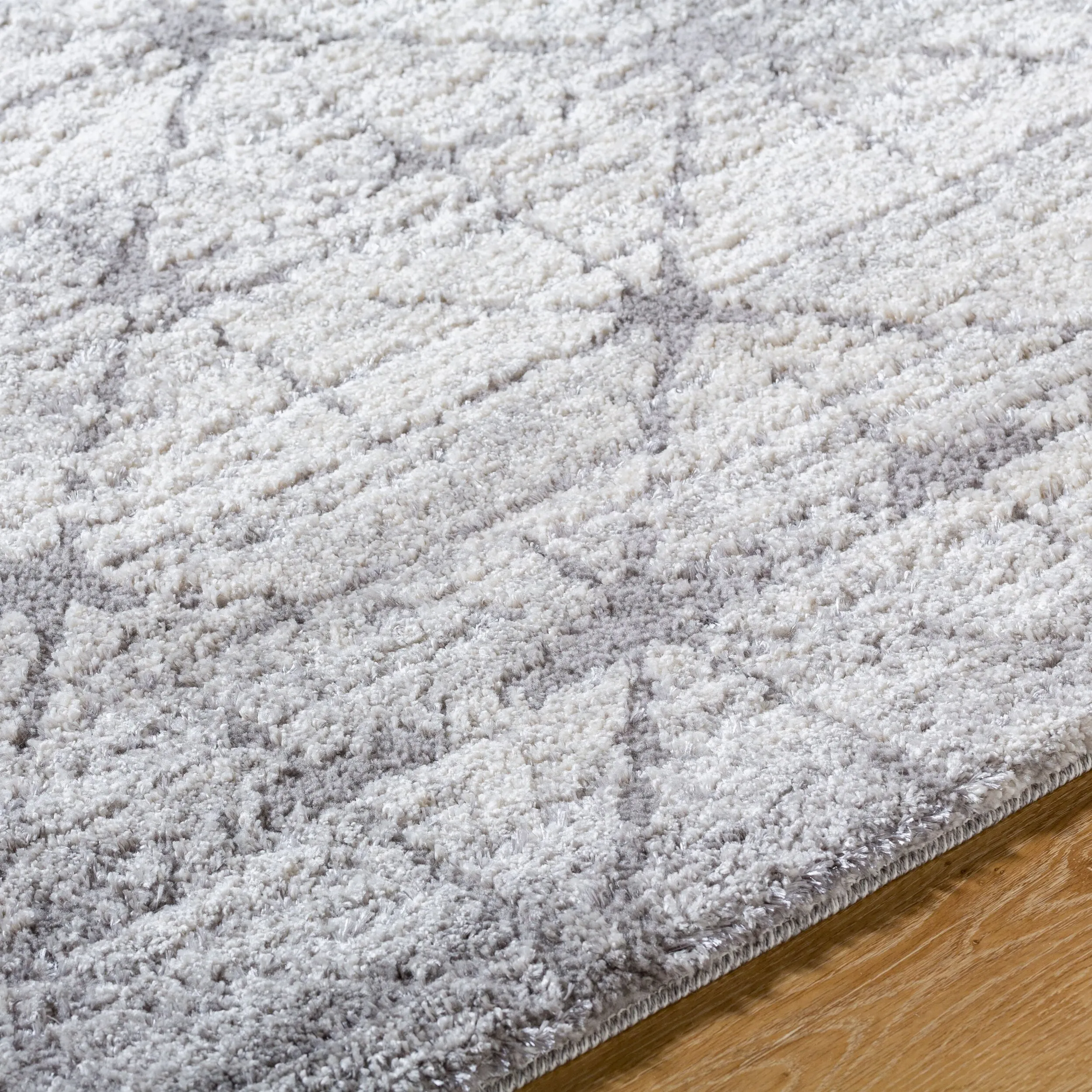 Livabliss Andorra Plus Casual Abstract Area Rug