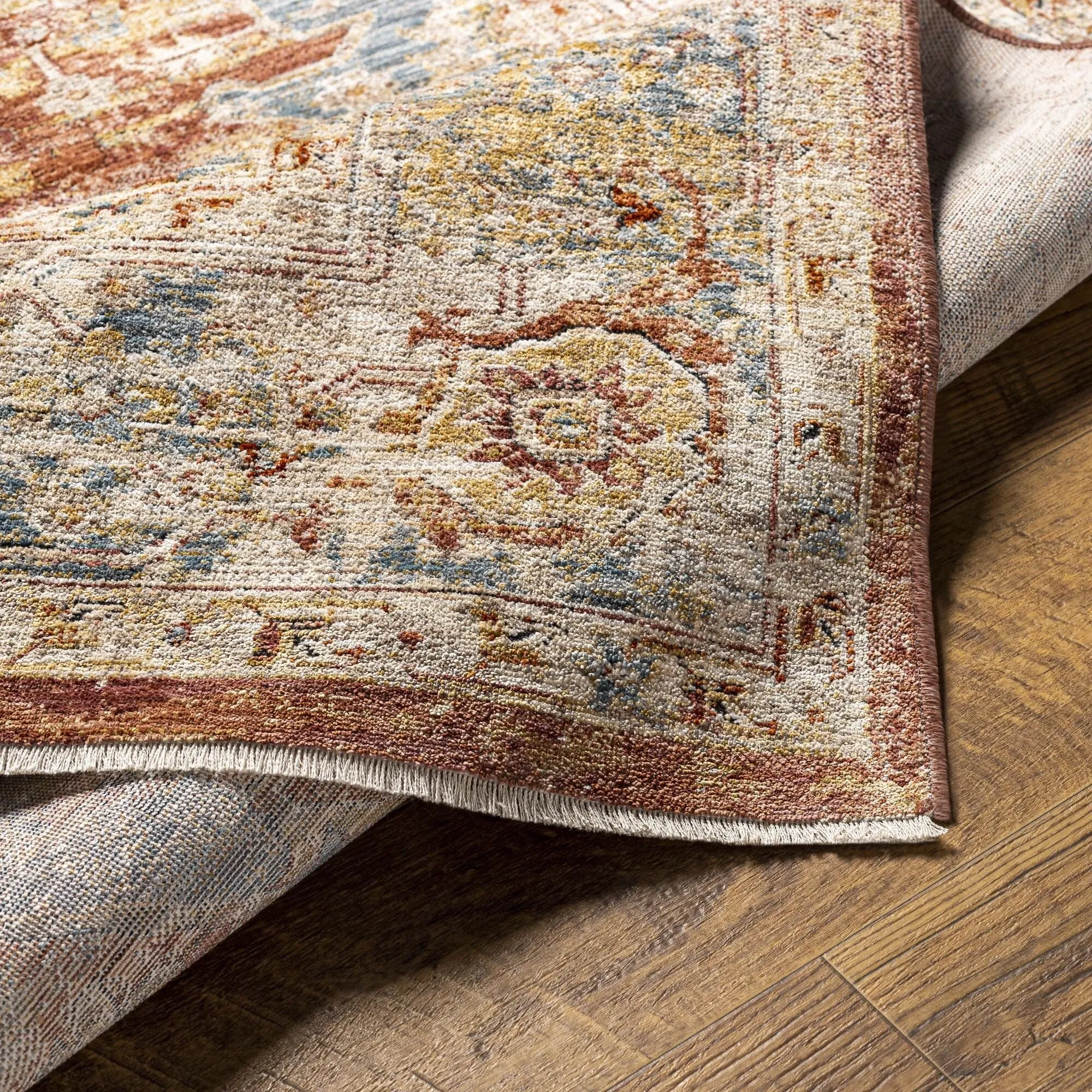 Livabliss Aspendos Updated Traditional Medallion Area Rug