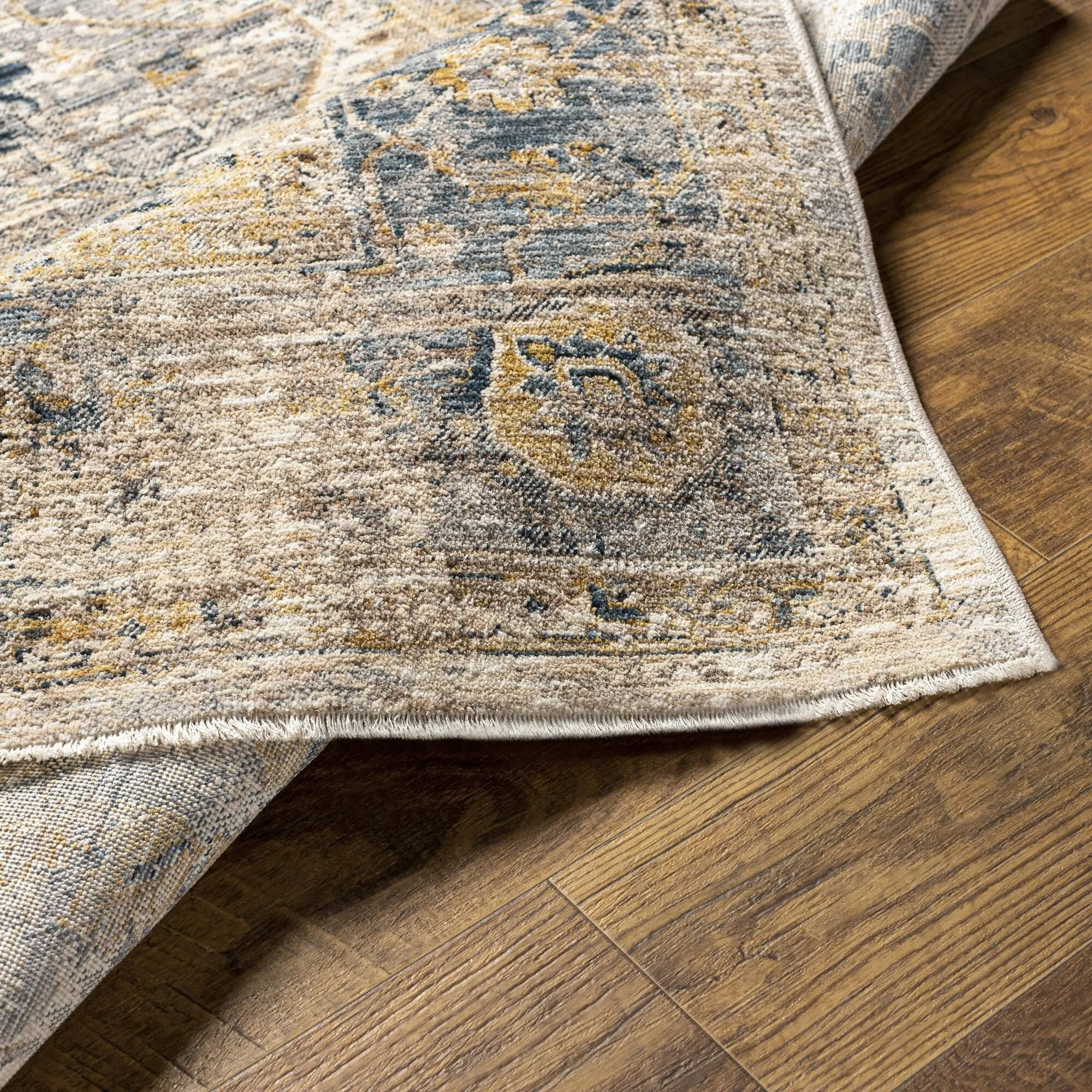 Livabliss Aspendos Updated Traditional Medallion Area Rug