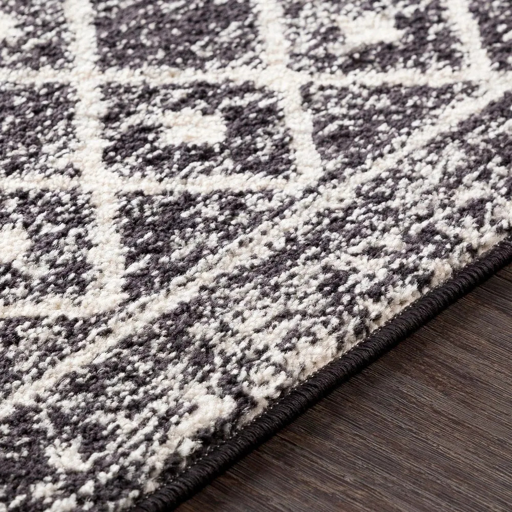 Livabliss Edie Bohemian Geometric Area Rug