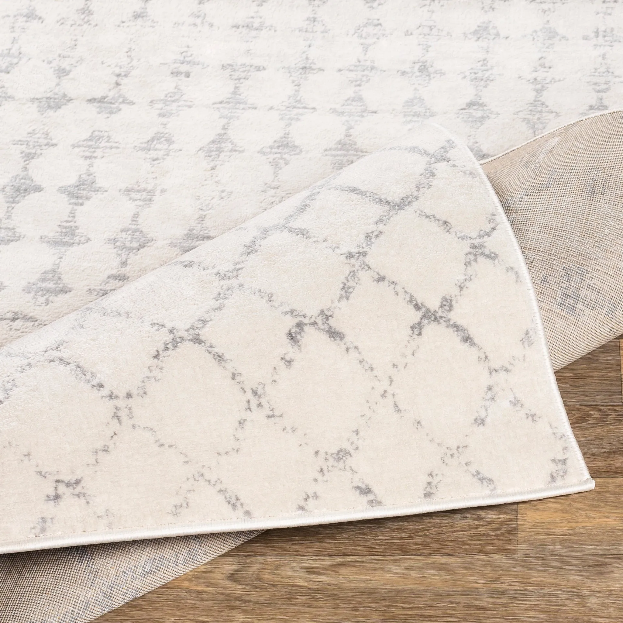 Livabliss Igor Distressed Moroccan Trellis Area Rug