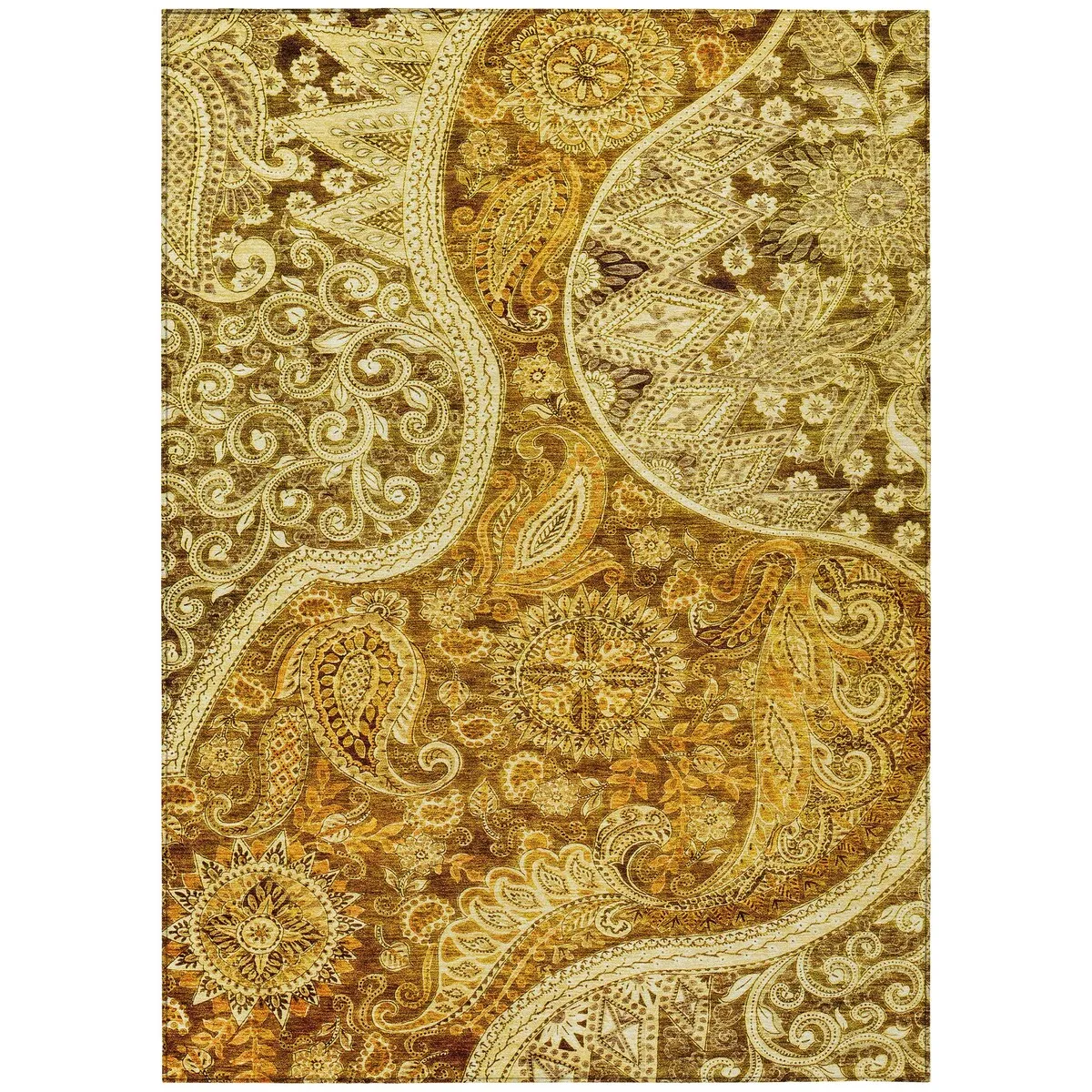 Machine Washable Indoor/ Outdoor Modern Paisley Chantille Rug