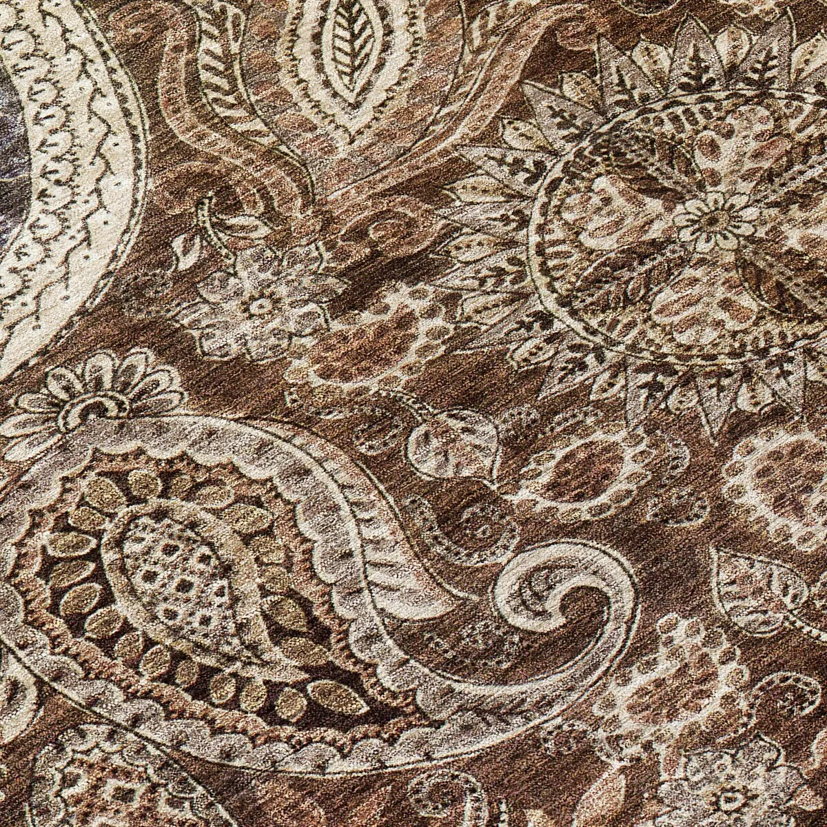 Machine Washable Indoor/ Outdoor Modern Paisley Chantille Rug