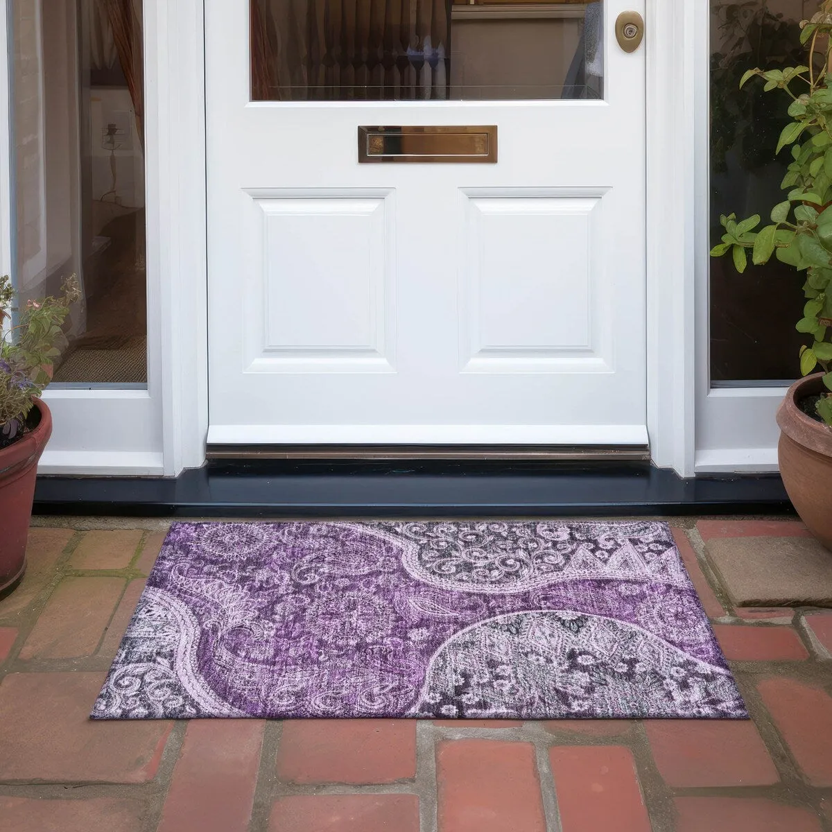 Machine Washable Indoor/ Outdoor Modern Paisley Chantille Rug