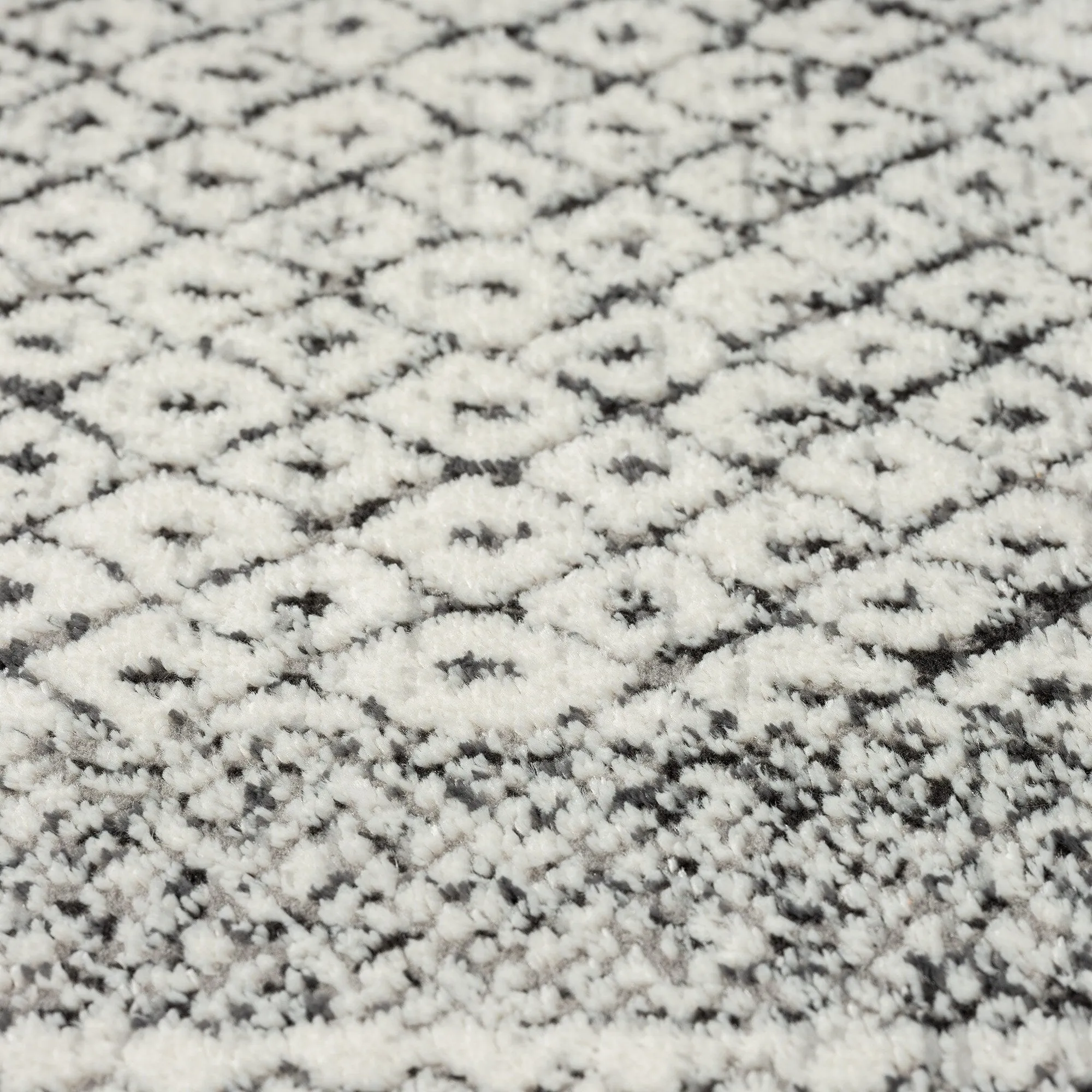 Madison Park Talia Moroccan Bordered Global Woven Area Rug