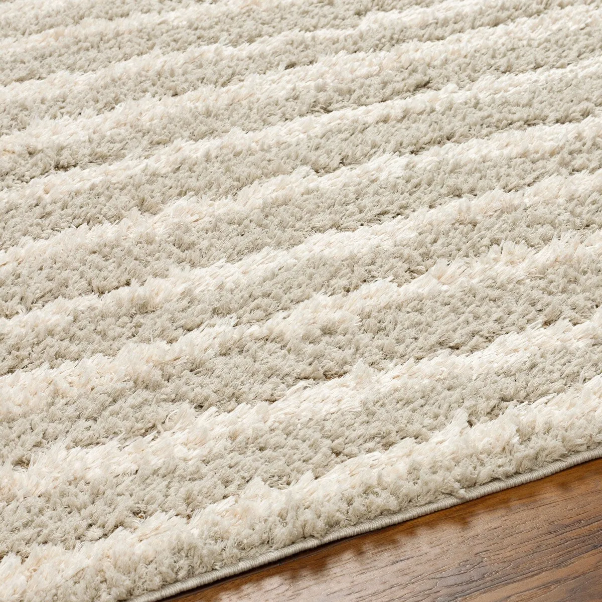 Maryland Shag Casual Solid Area Rug