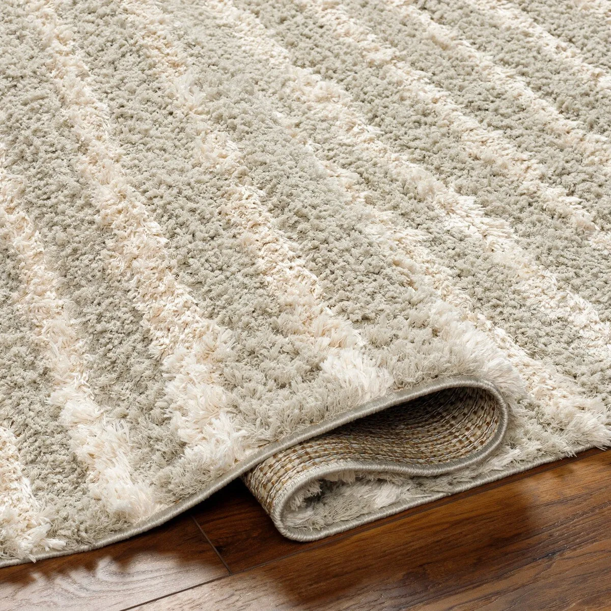 Maryland Shag Casual Solid Area Rug