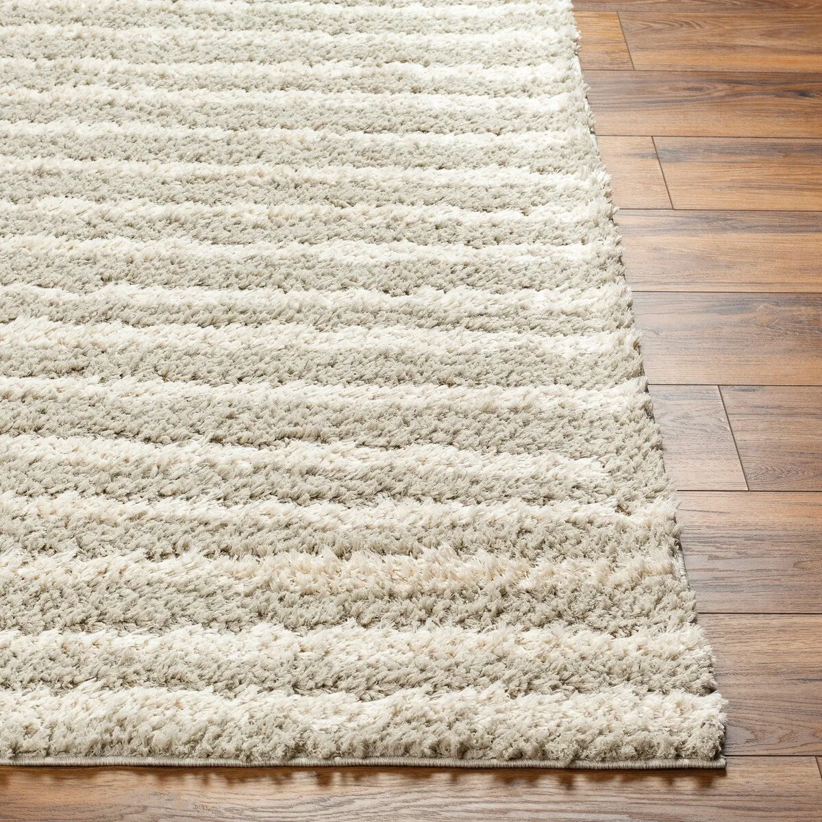 Maryland Shag Casual Solid Area Rug