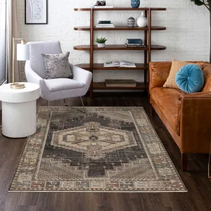 Mohawk Home Chichester Southwestern Medallion Area Rug