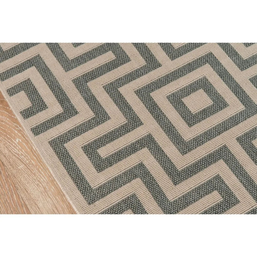 Momeni Baja Retro Indoor Outdoor Rug