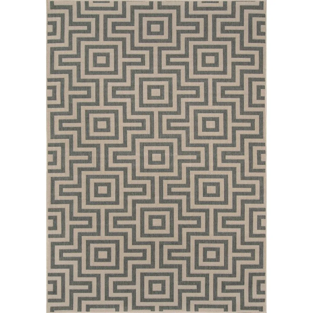 Momeni Baja Retro Indoor Outdoor Rug