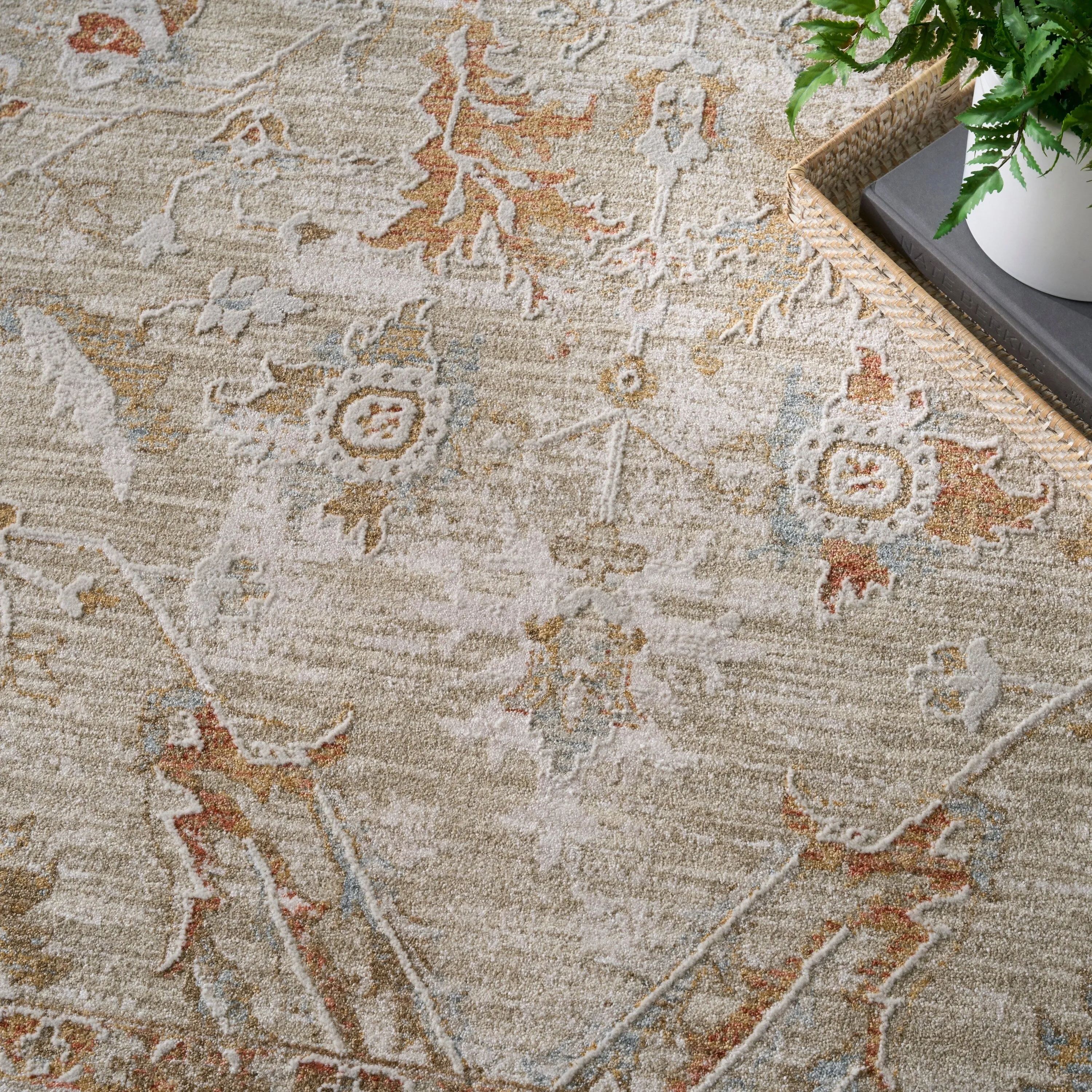 Nourison Asher Indoor only Persian Floral Medallion Area Rug
