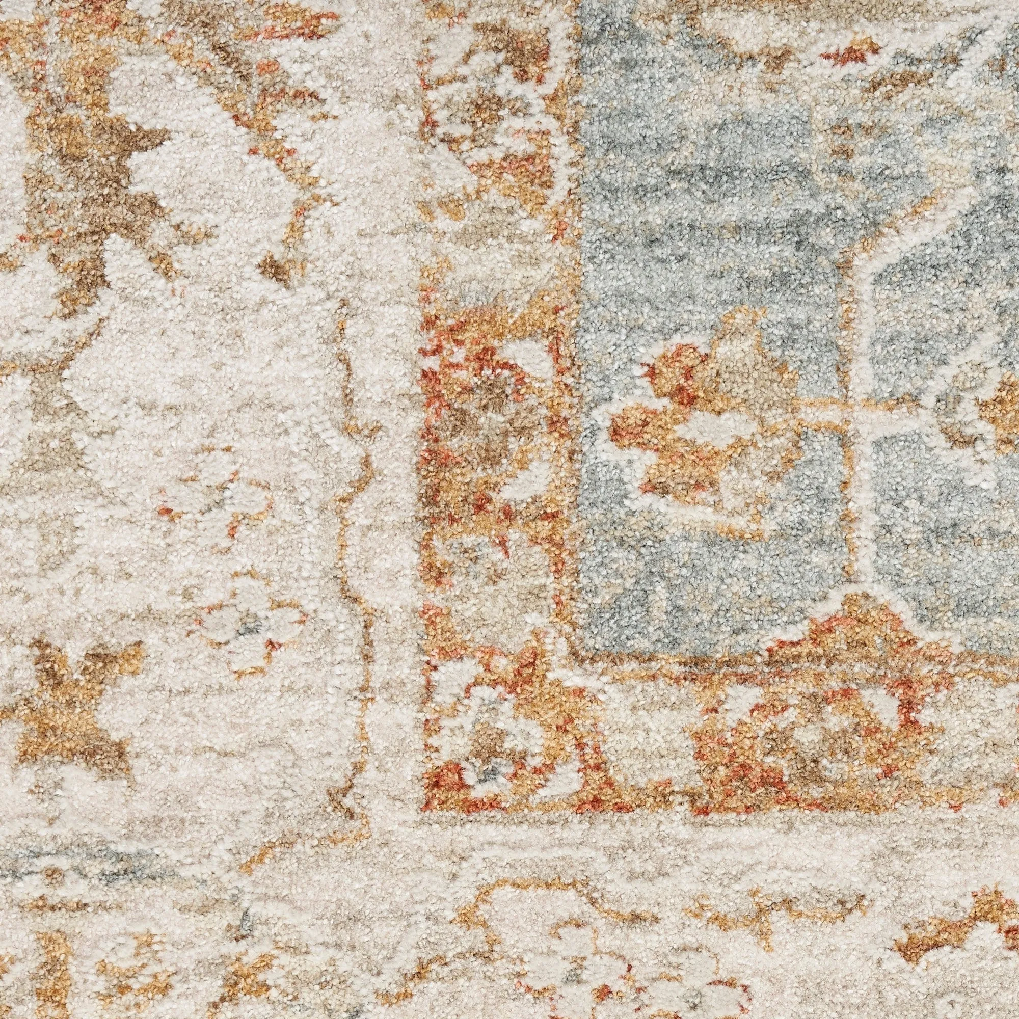 Nourison Asher Indoor only Persian Floral Medallion Area Rug