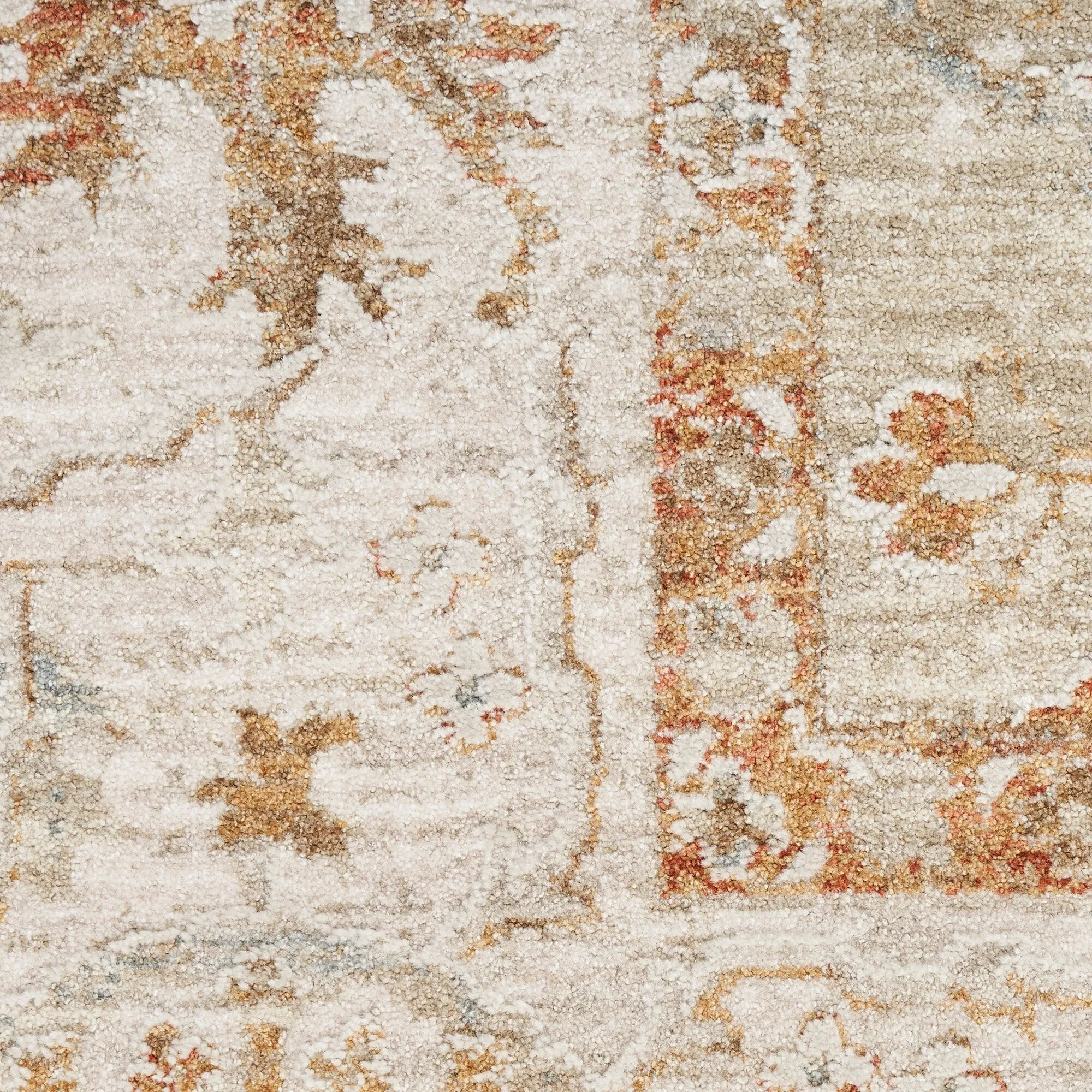 Nourison Asher Indoor only Persian Floral Medallion Area Rug