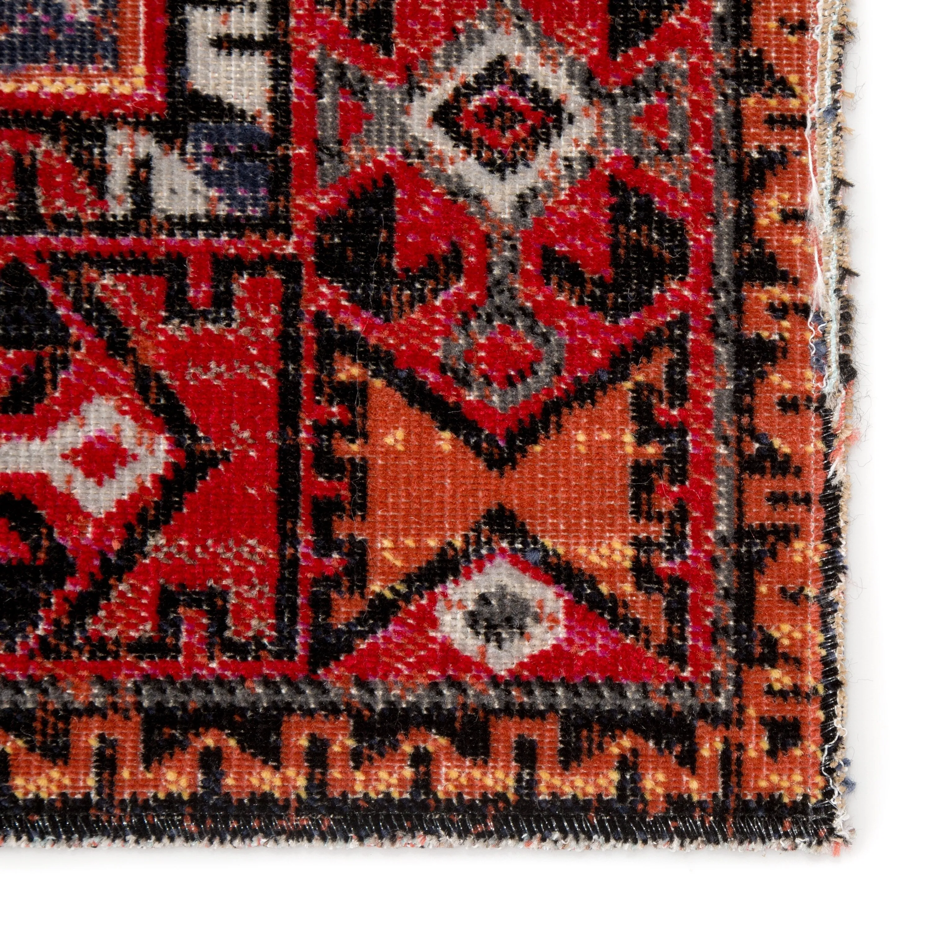 Paloma Indoor and Outdoor Tribal Area Rug