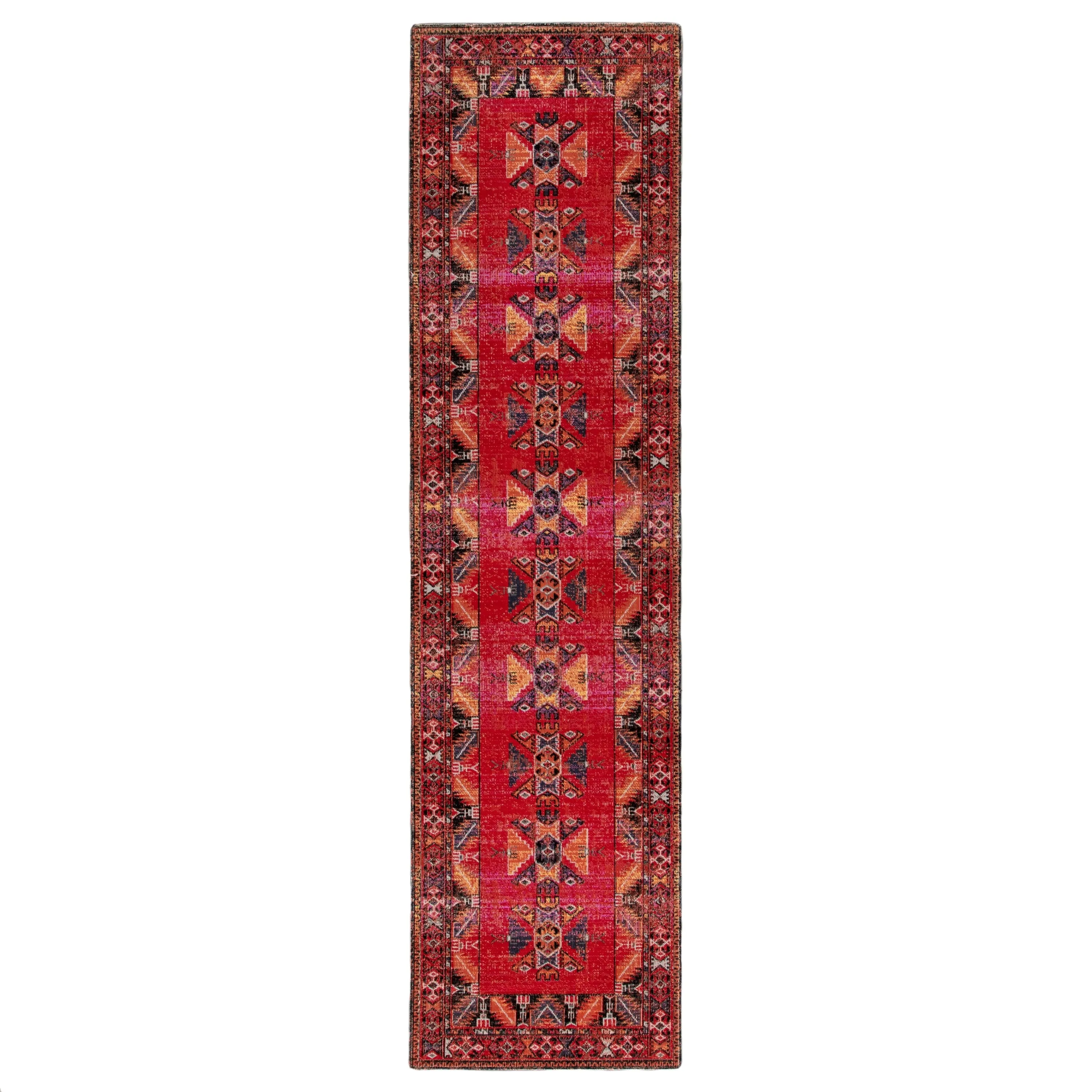 Paloma Indoor and Outdoor Tribal Area Rug