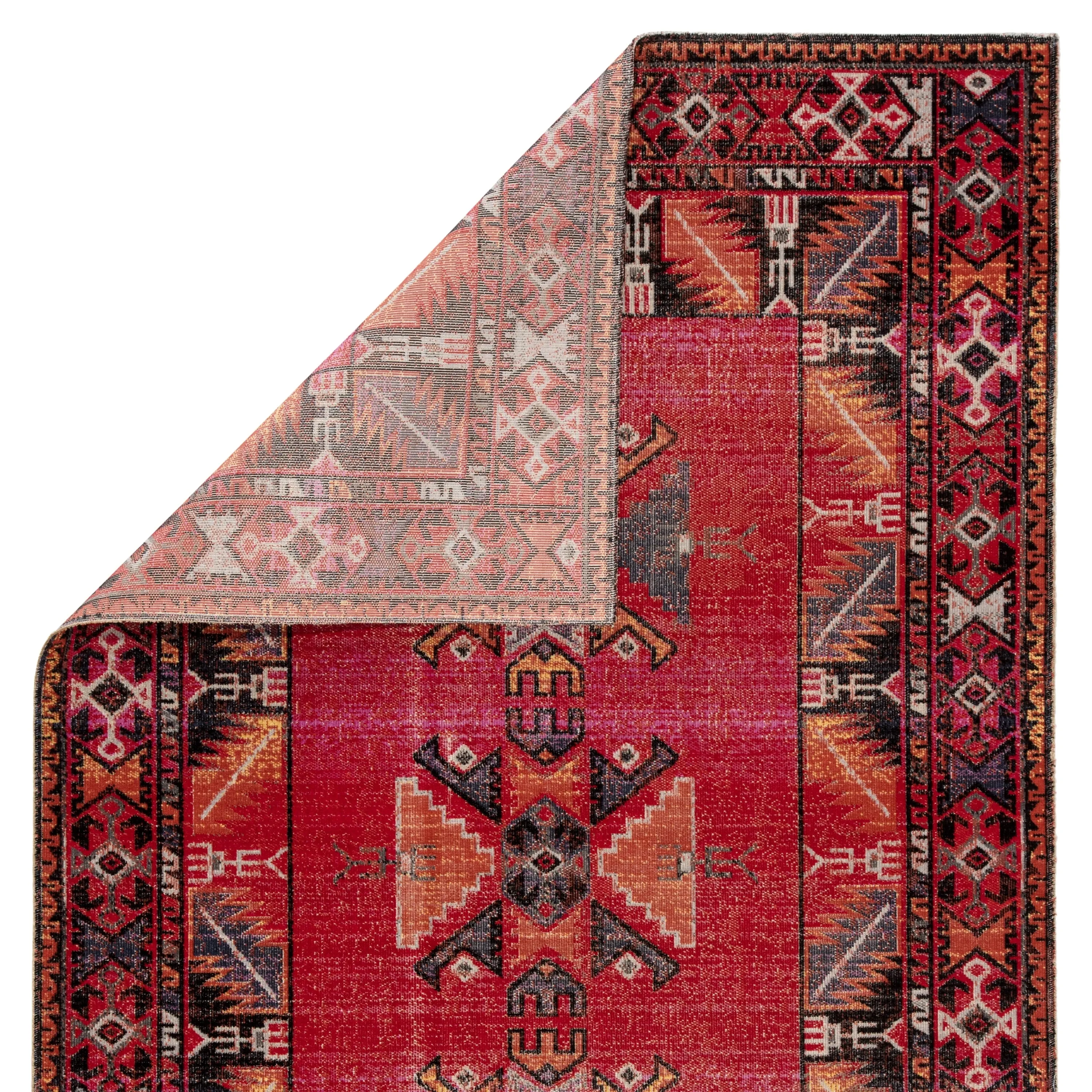 Paloma Indoor and Outdoor Tribal Area Rug